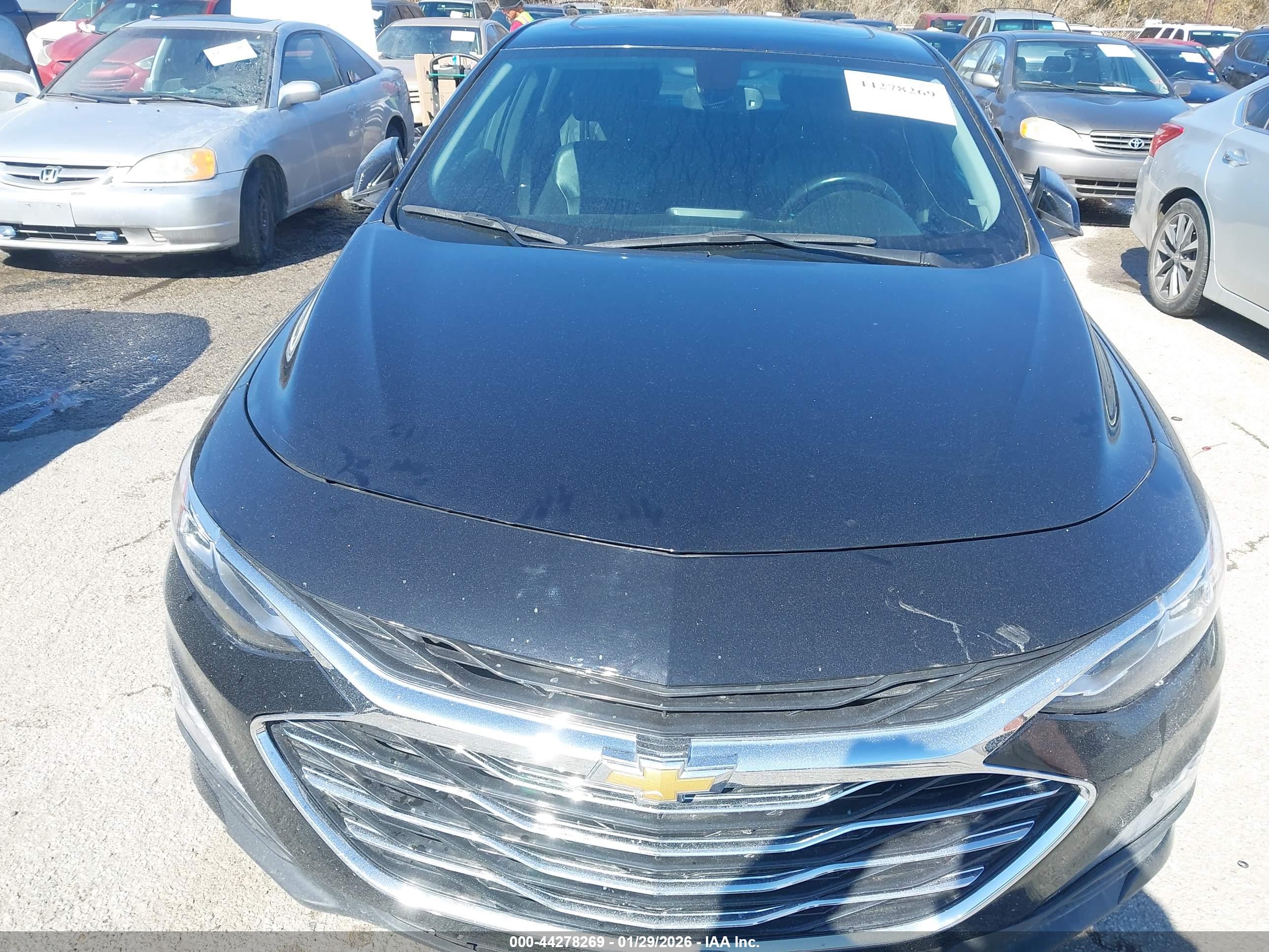 CHEVROLET MALIBU image 6