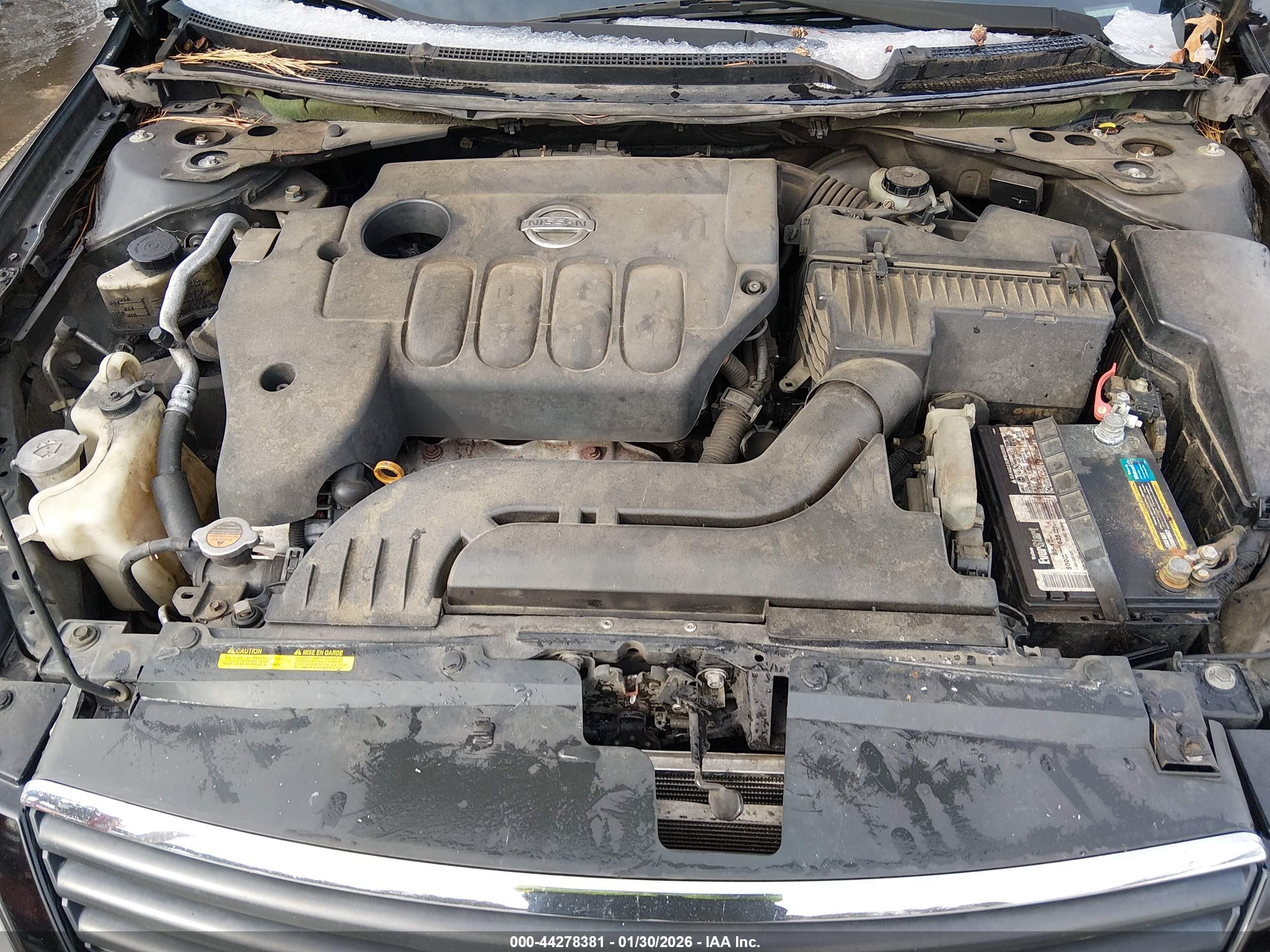 NISSAN ALTIMA image 10