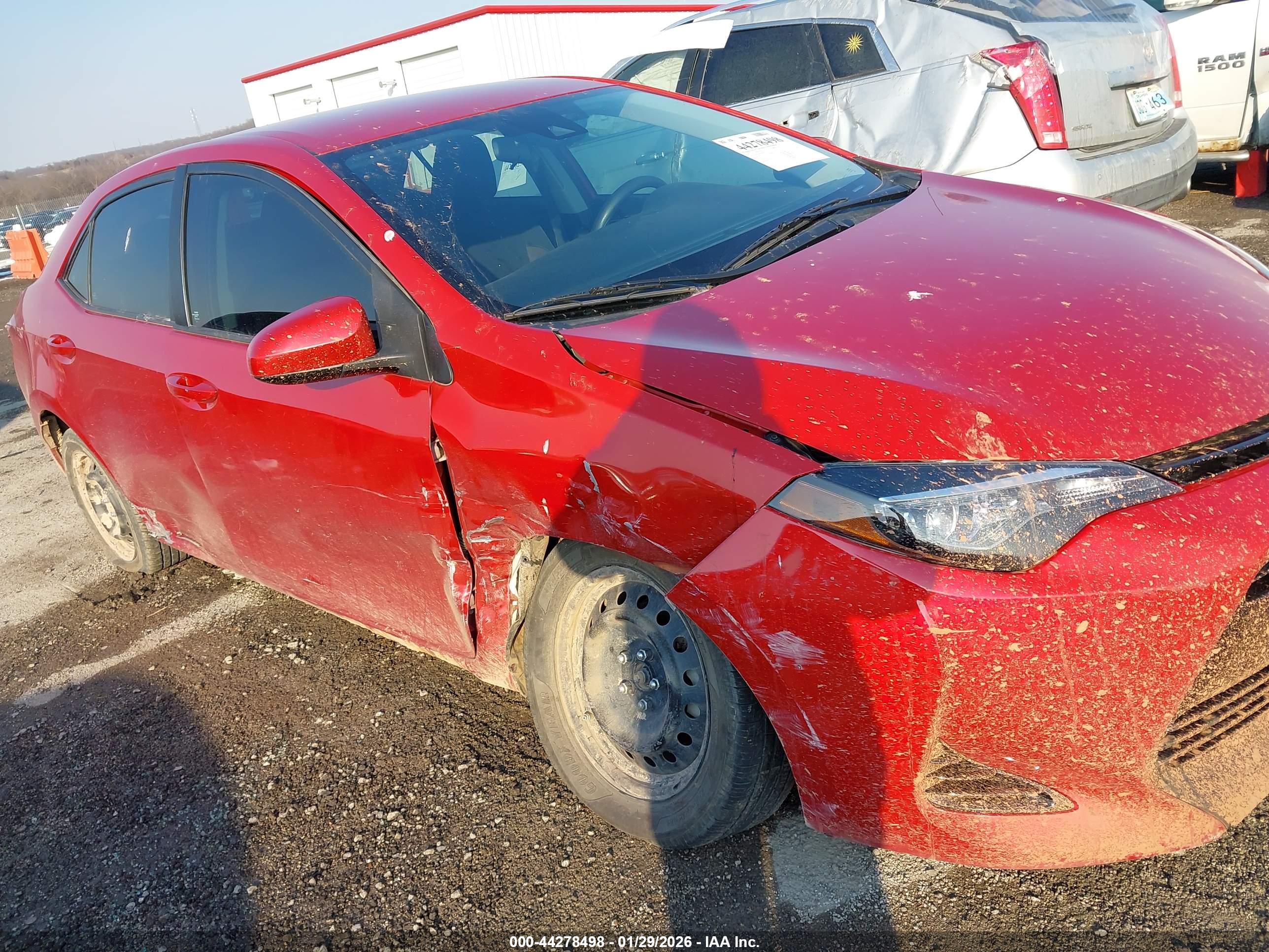 TOYOTA COROLLA image 6