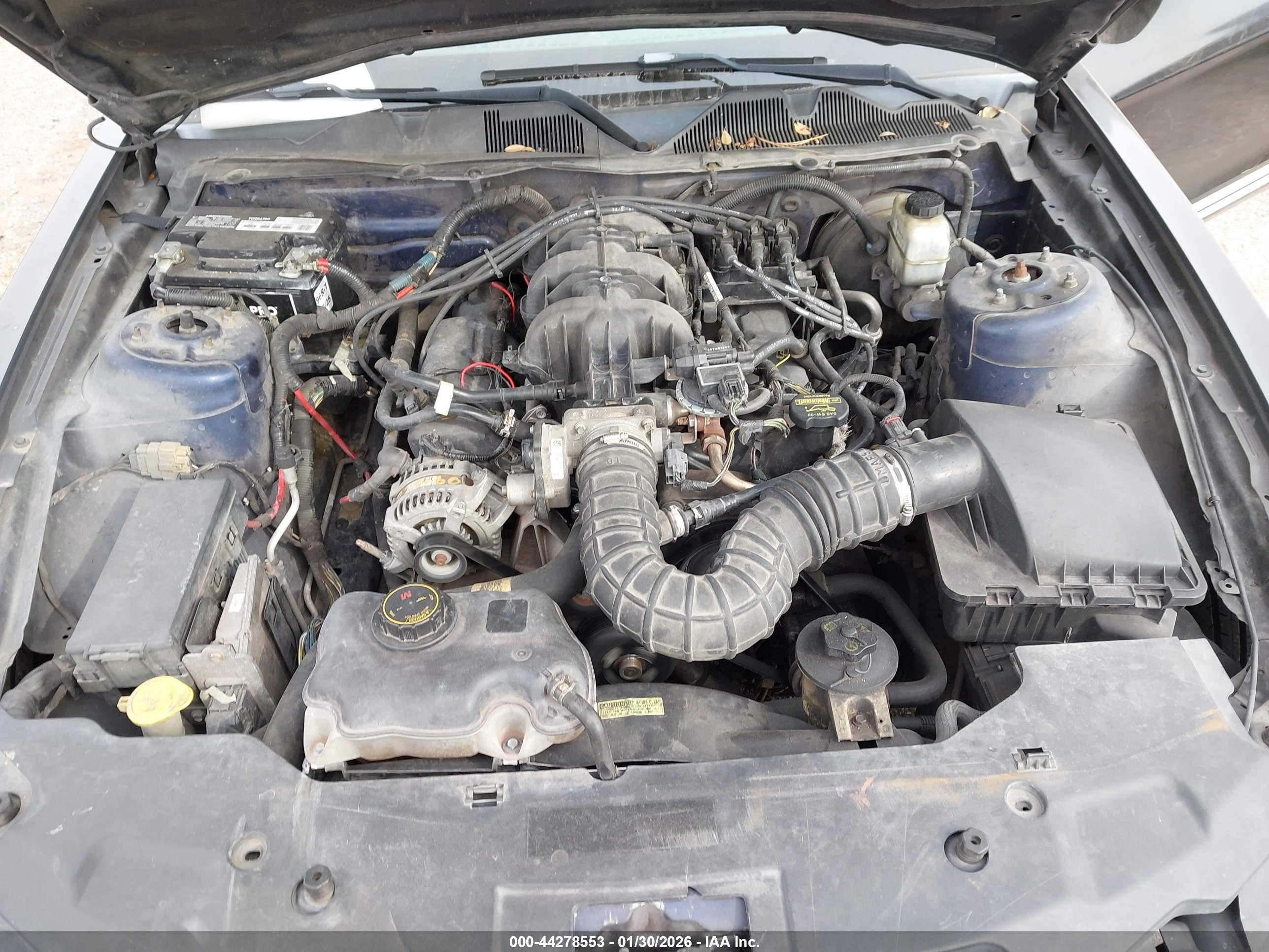 FORD MUSTANG image 10