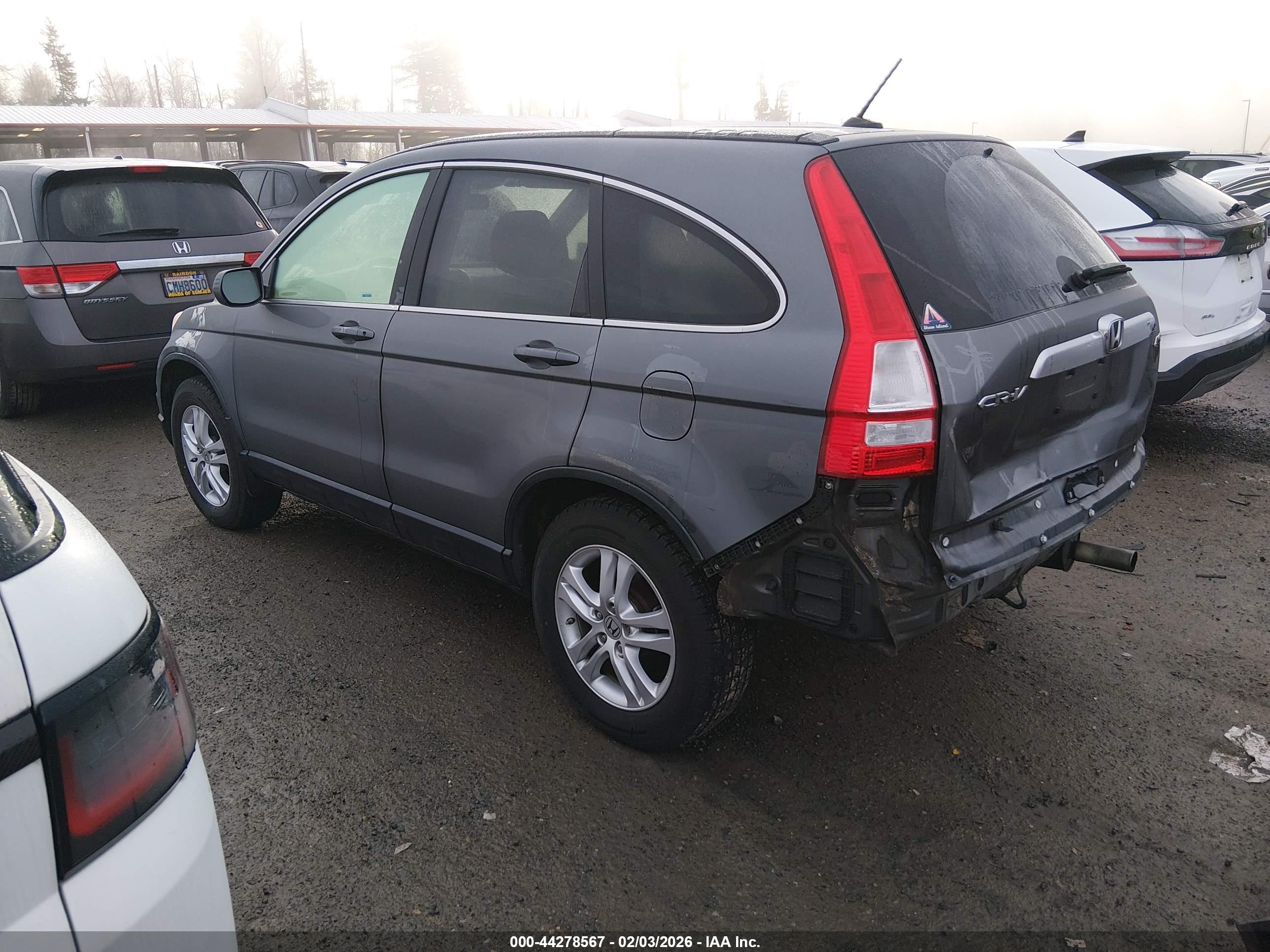 HONDA CR-V image 3