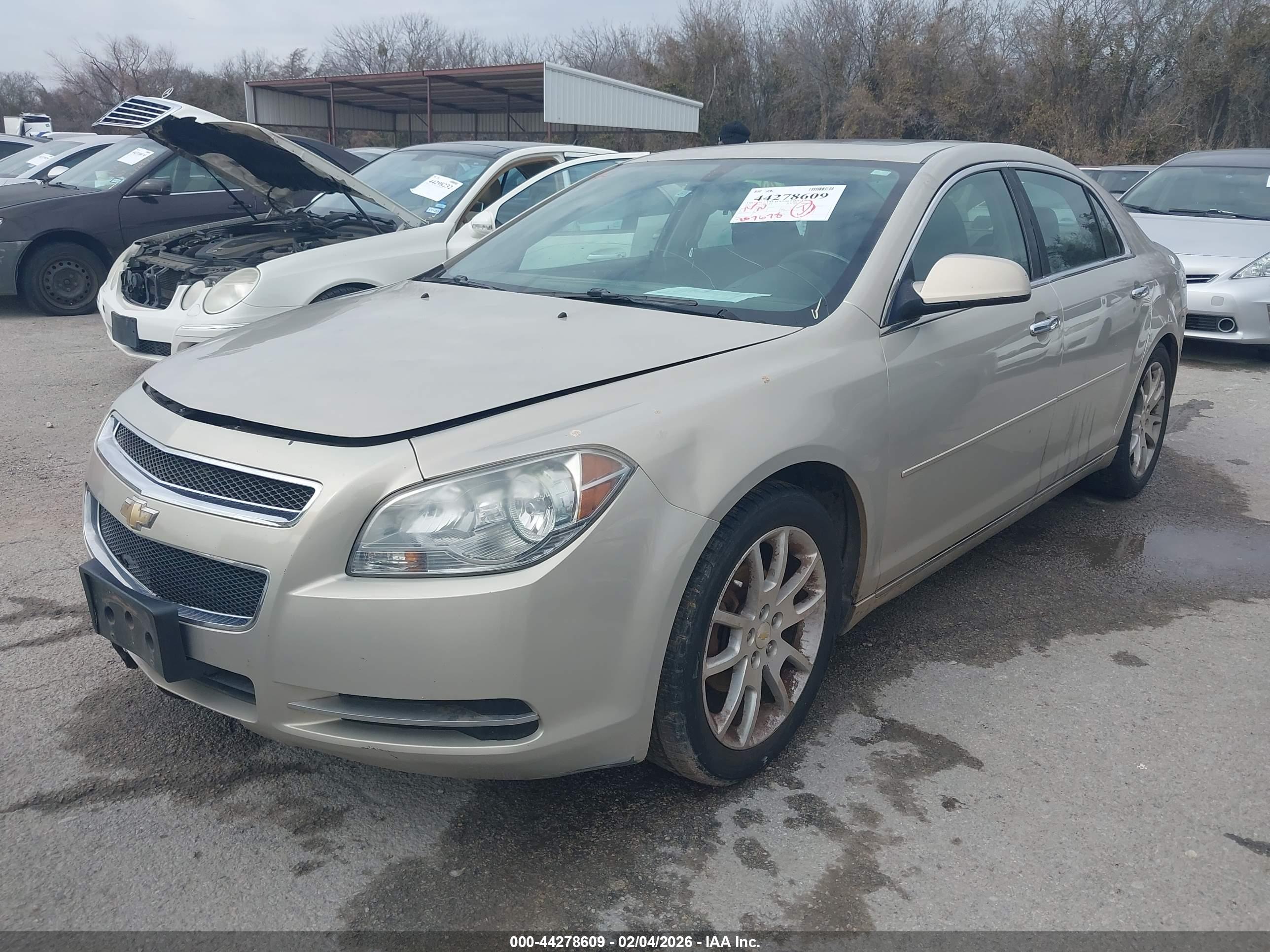 CHEVROLET MALIBU image 2