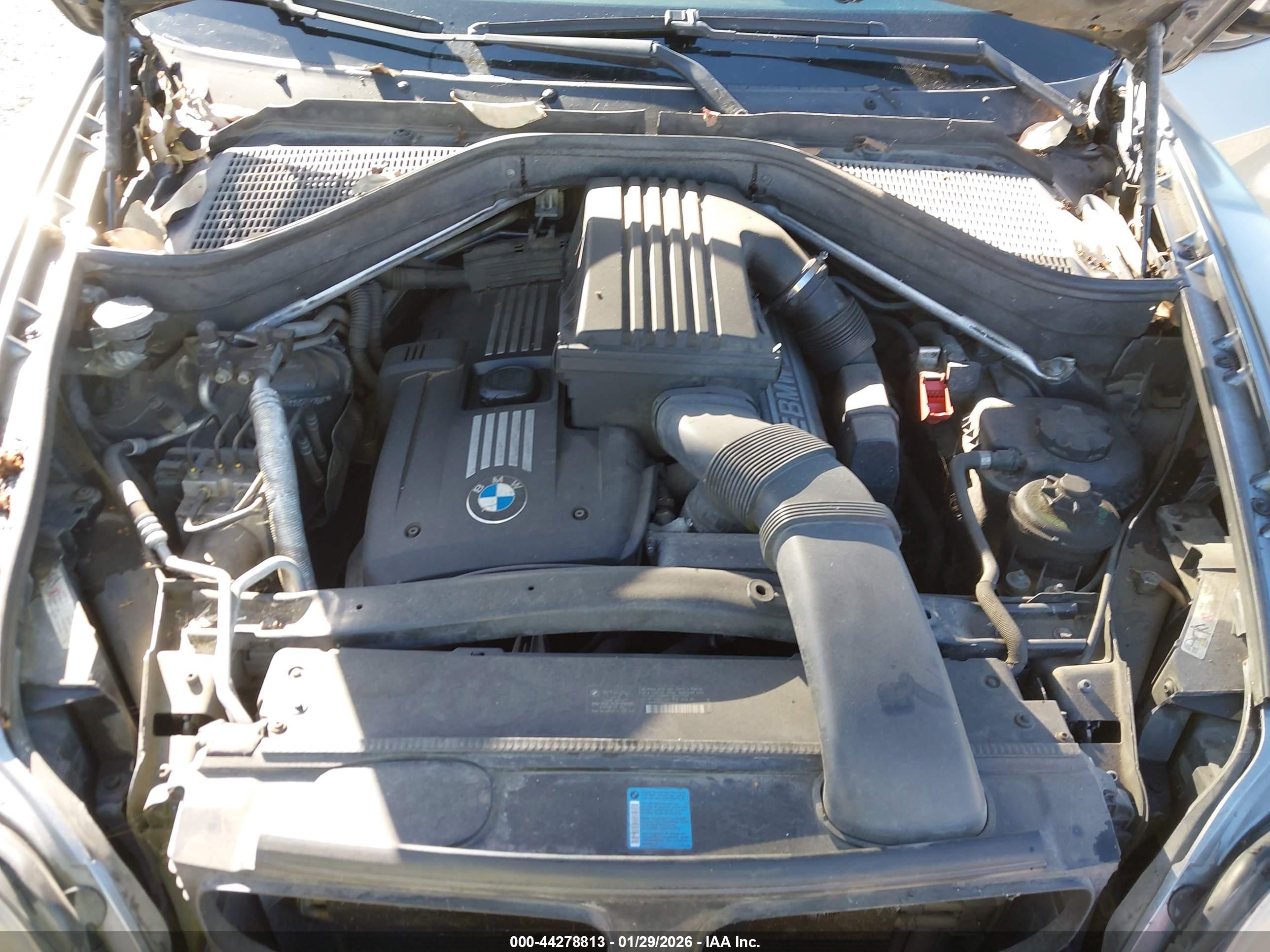 BMW X5 image 10