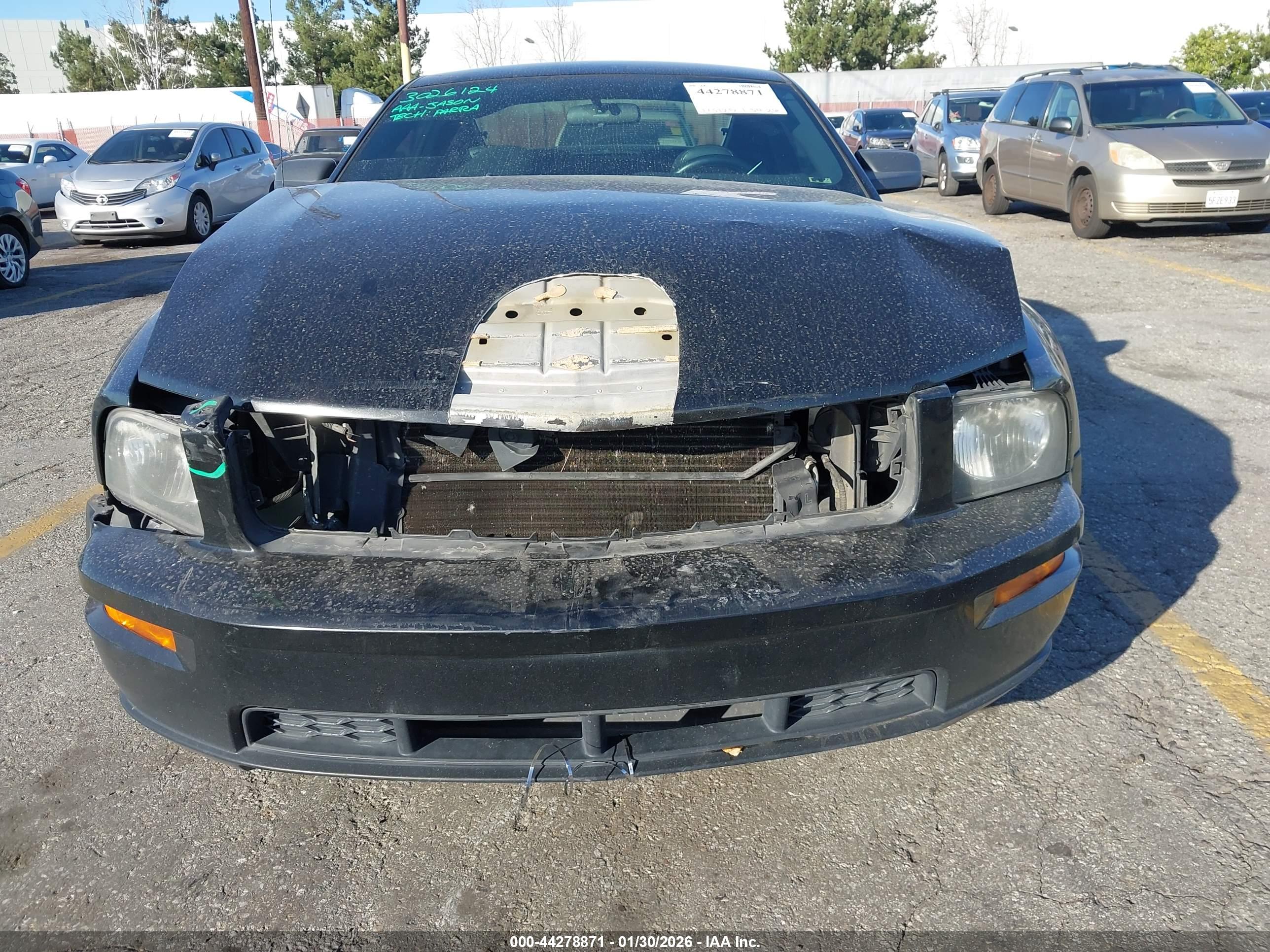 FORD MUSTANG image 6