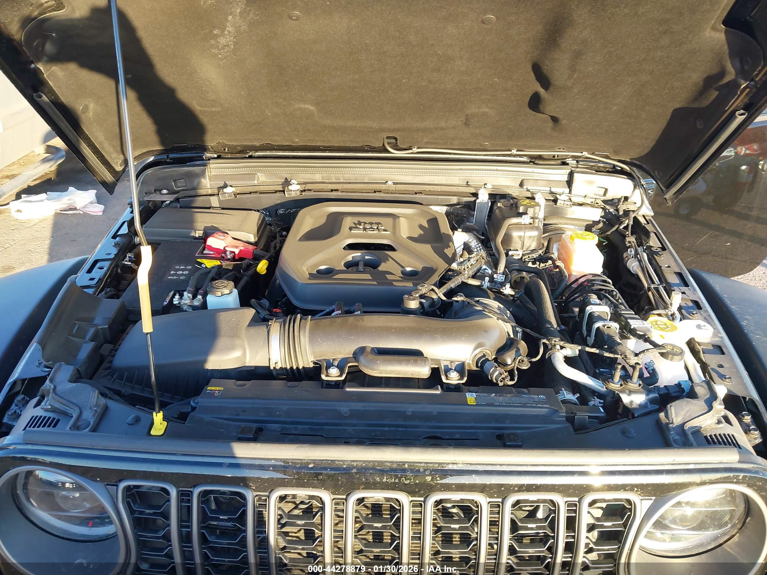 JEEP WRANGLER image 10
