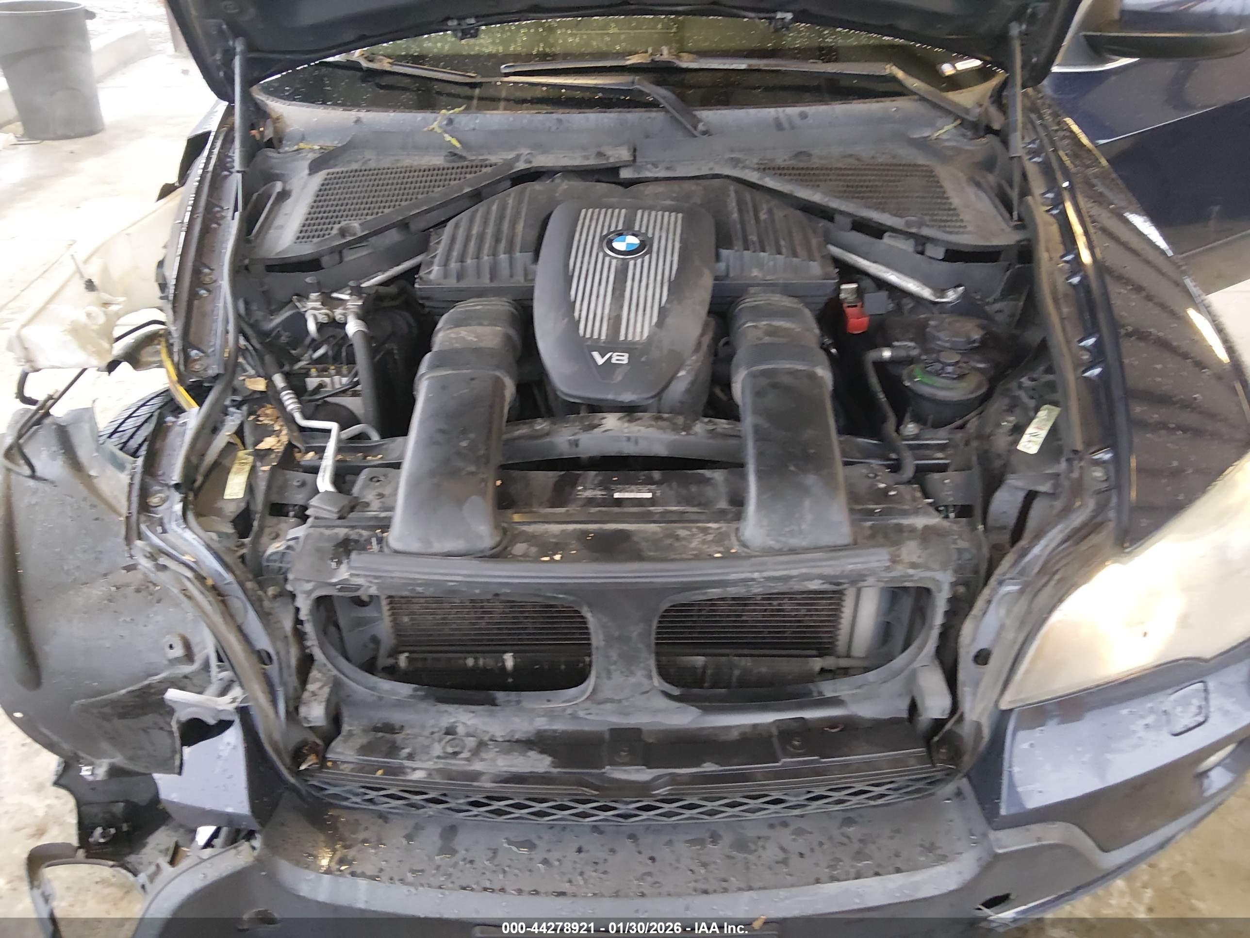 BMW X5 image 10