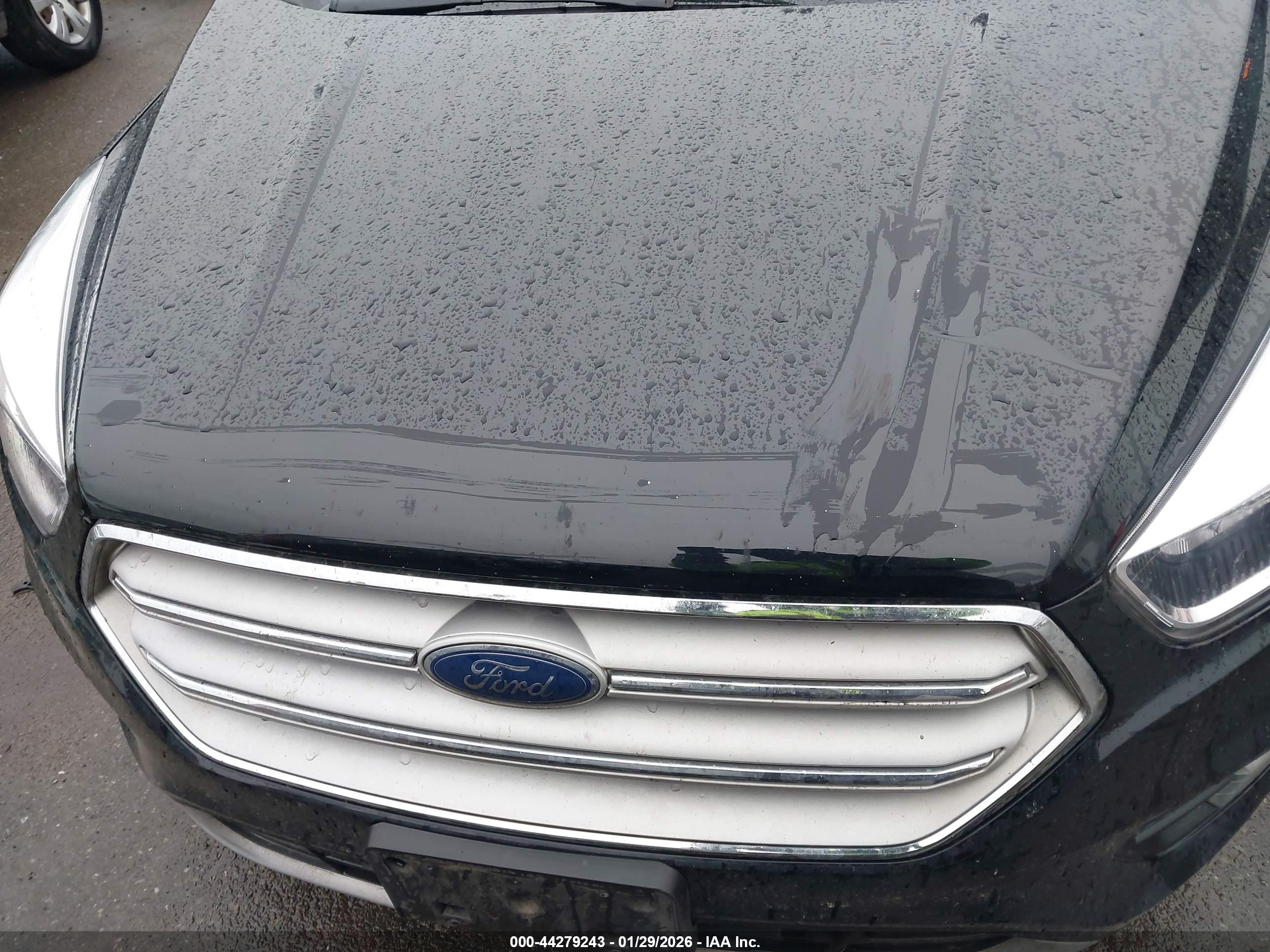 FORD ESCAPE image 6
