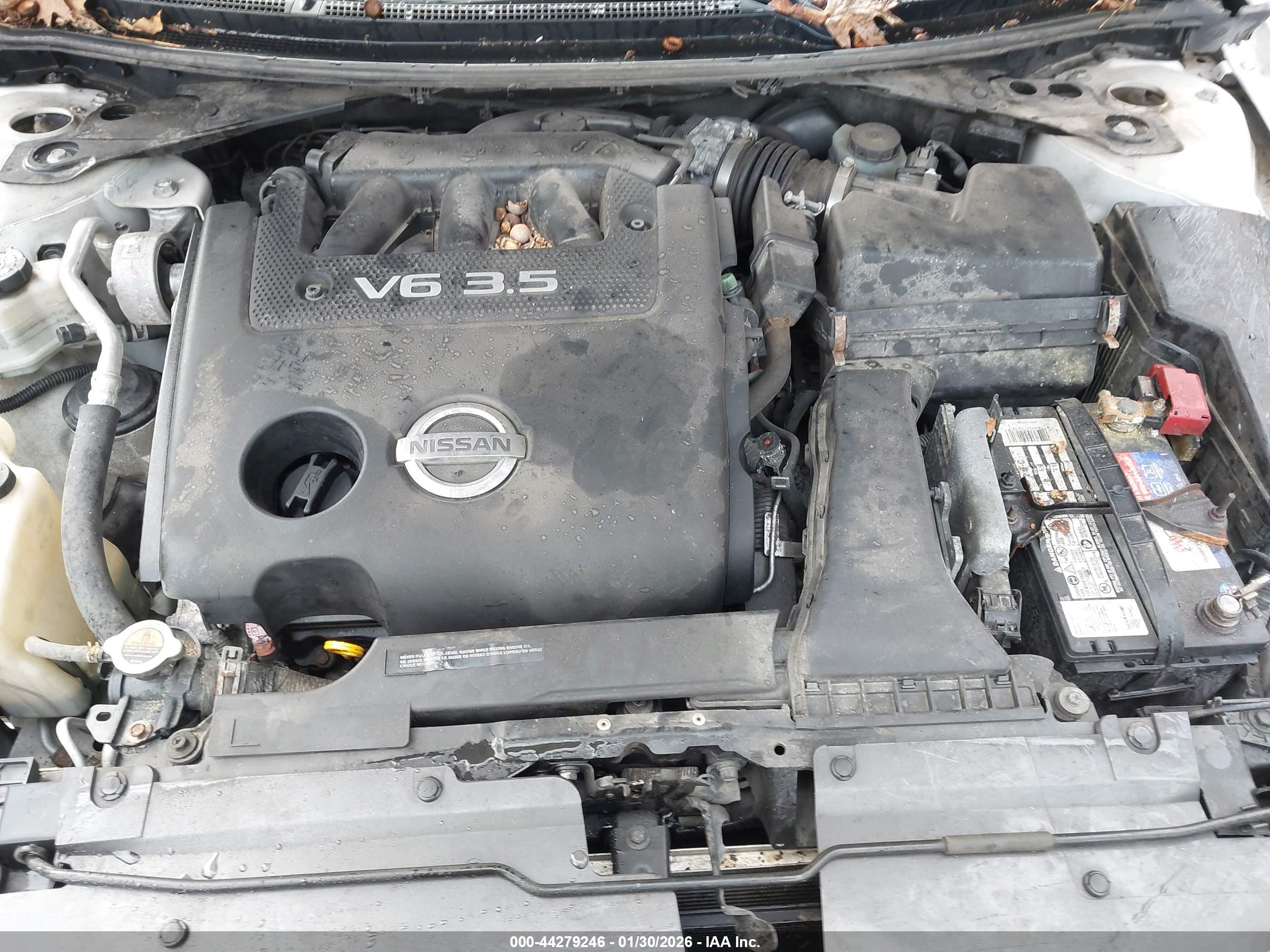 NISSAN ALTIMA image 10