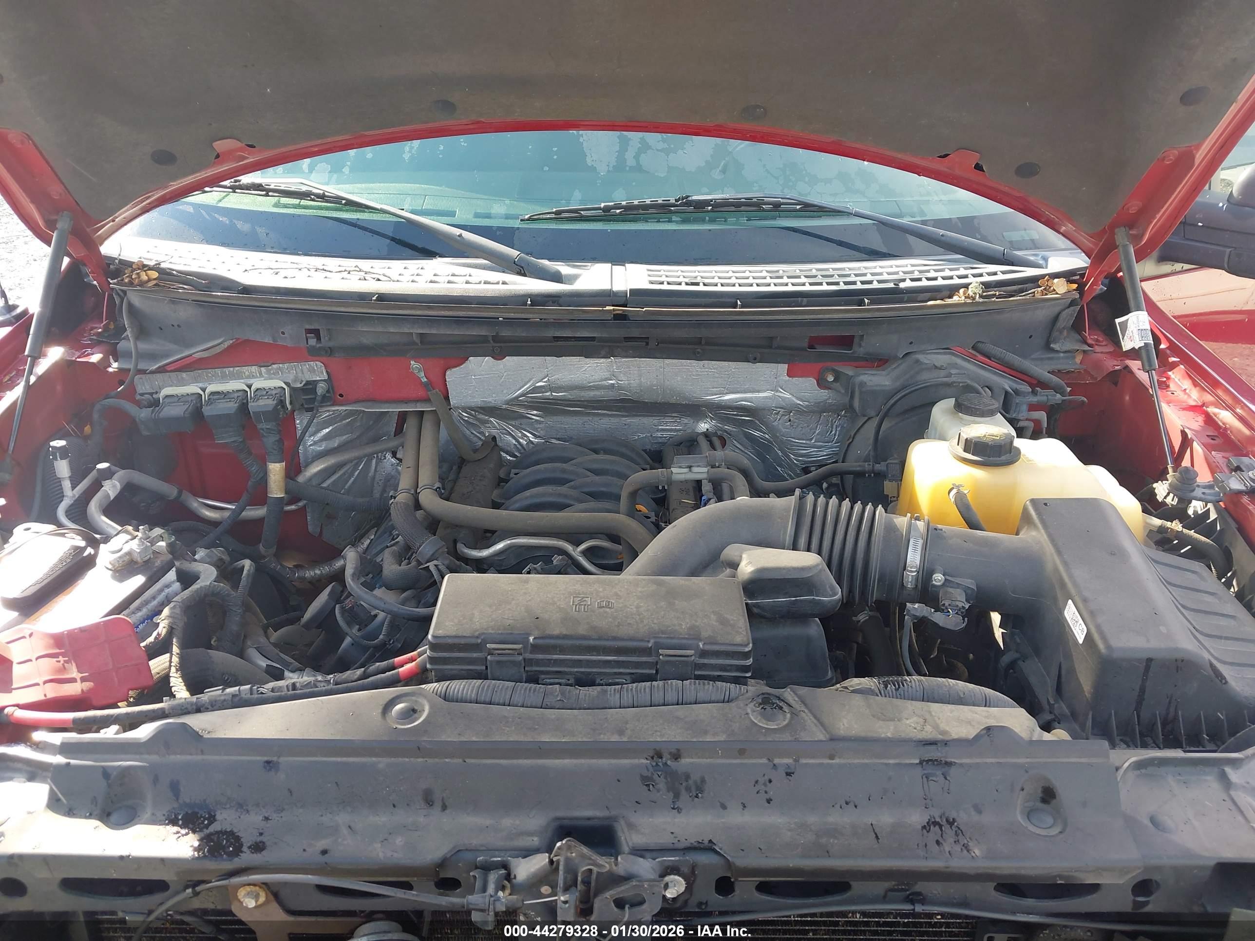 FORD F-150 image 10