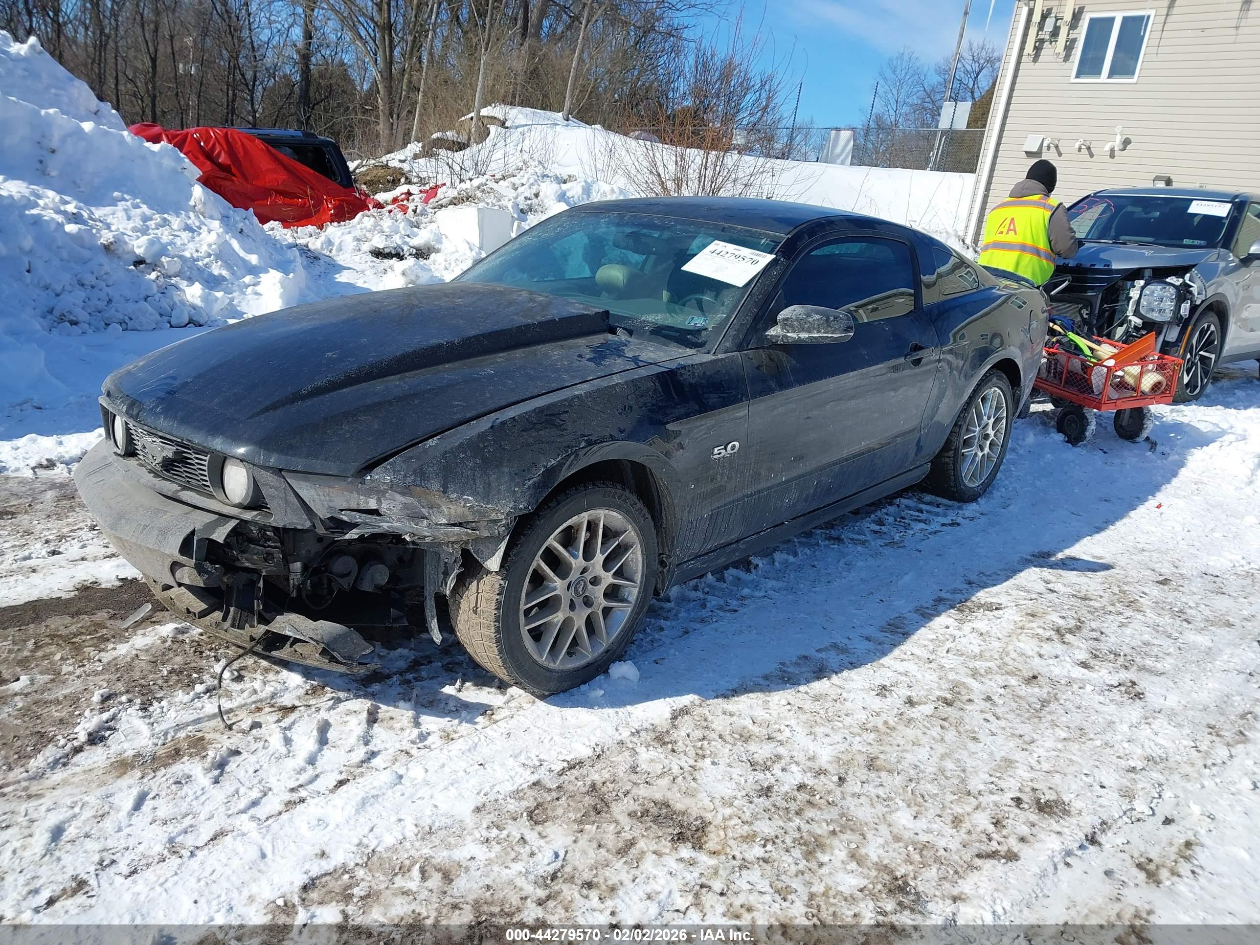 FORD MUSTANG image 2
