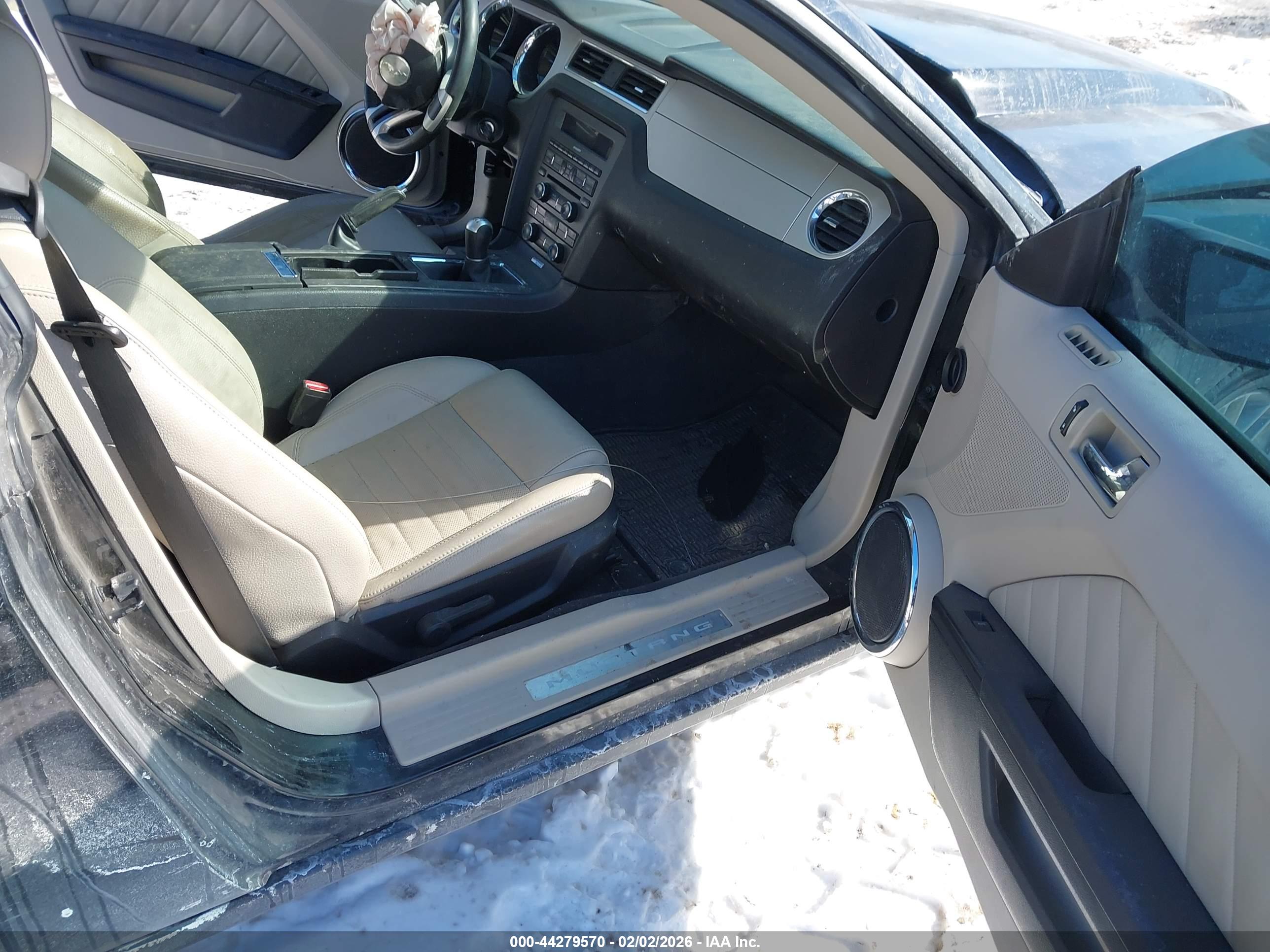 FORD MUSTANG image 5