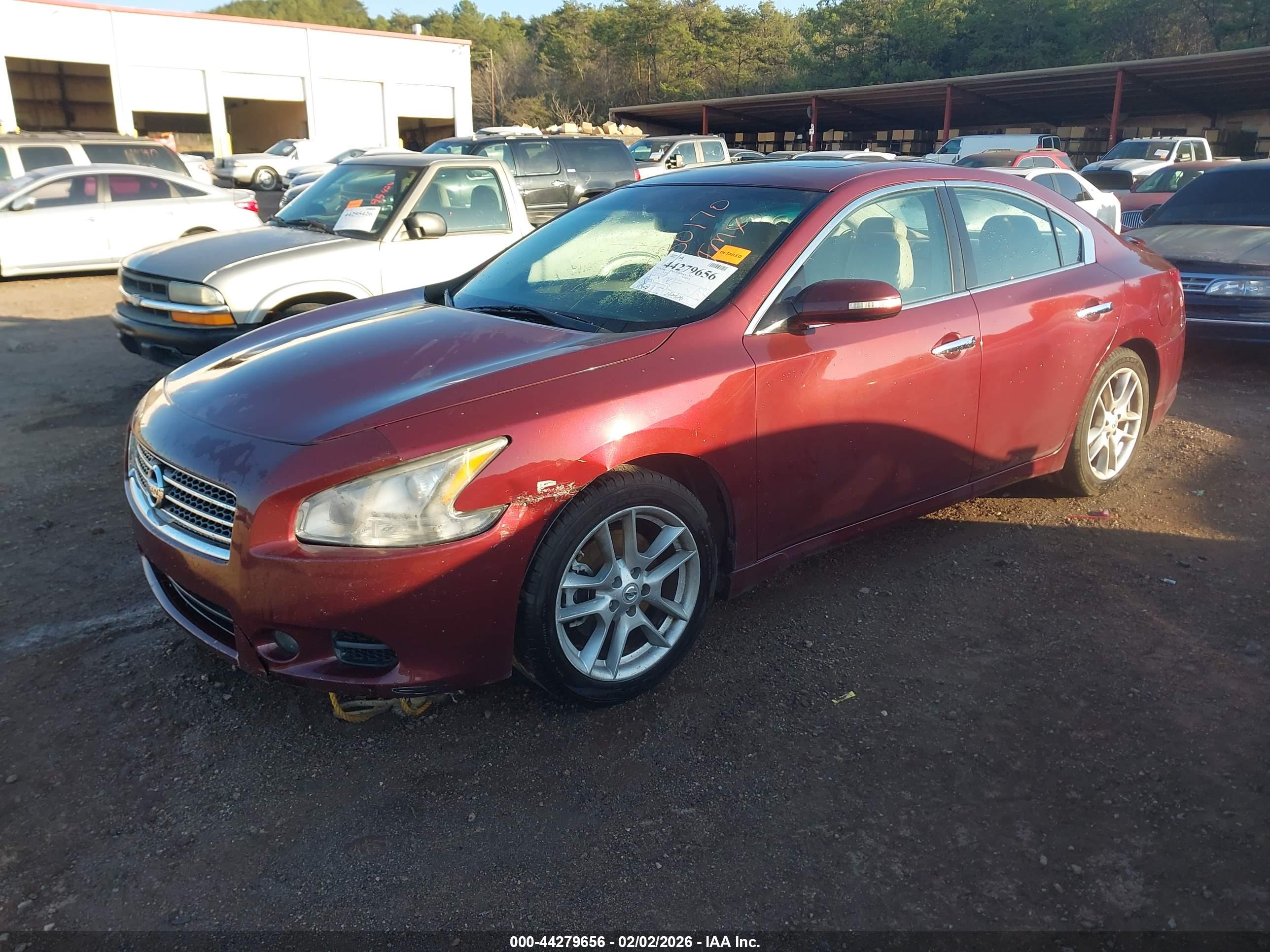 NISSAN MAXIMA image 2