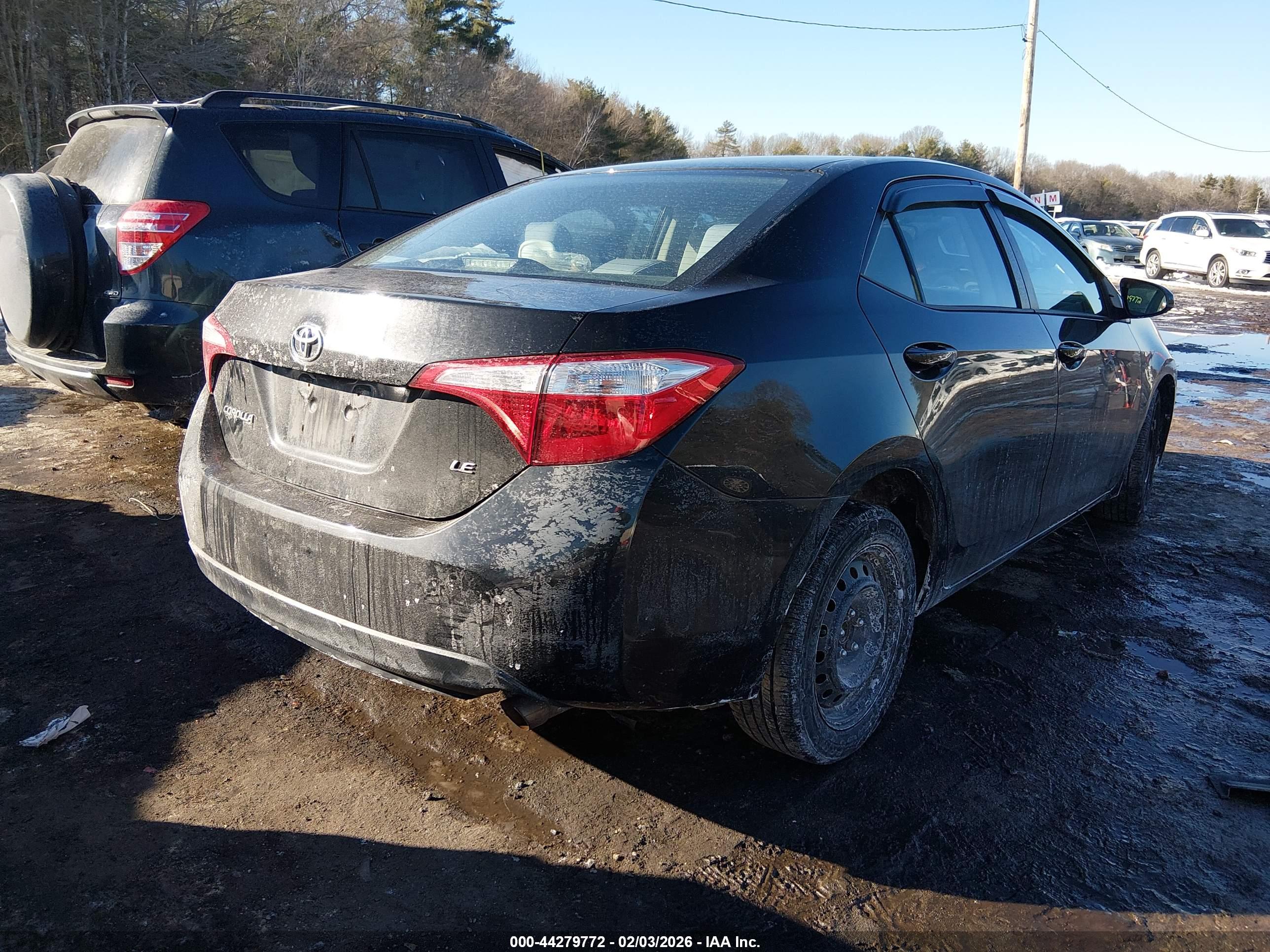 TOYOTA COROLLA image 4