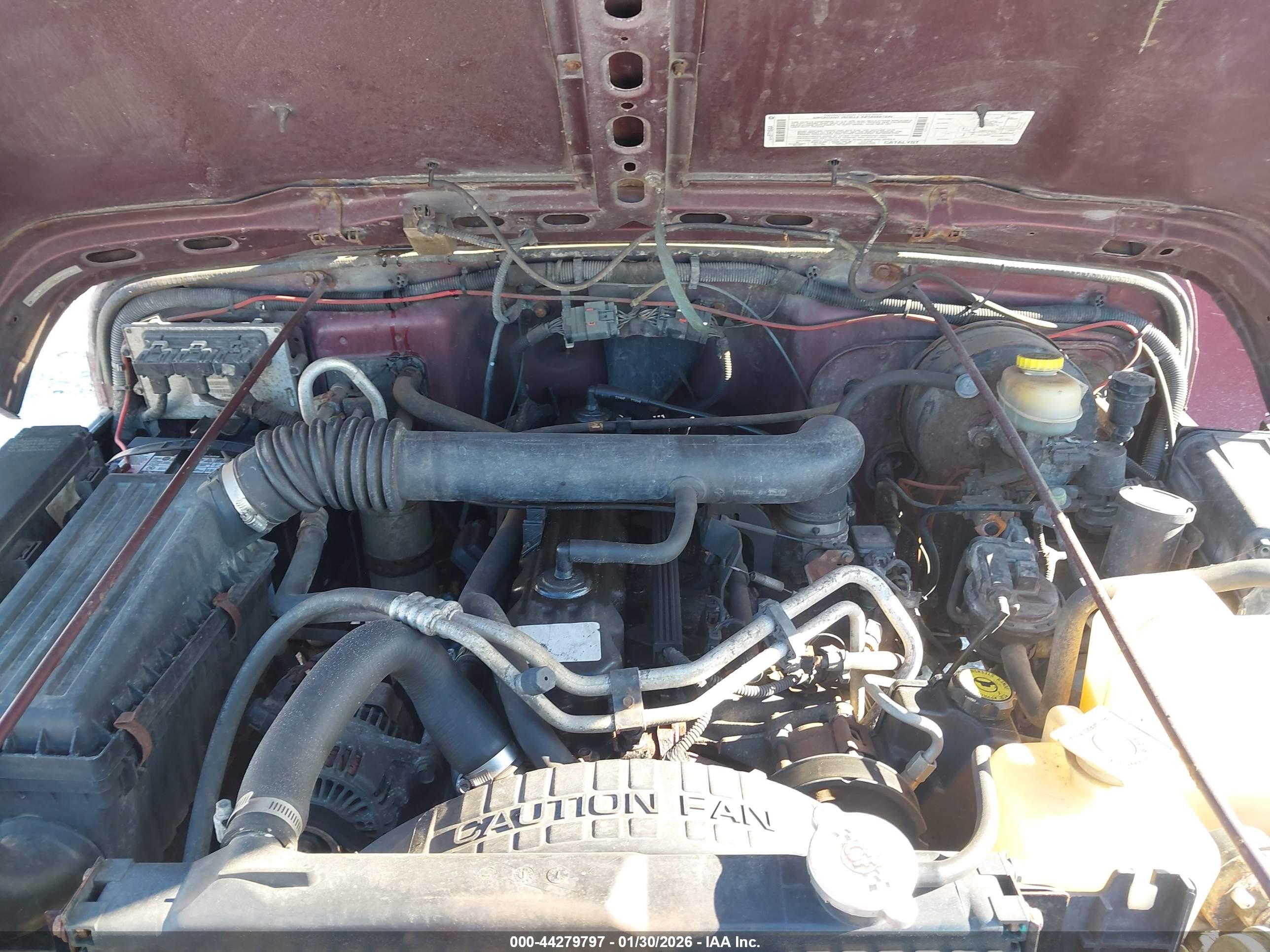 JEEP WRANGLER image 10