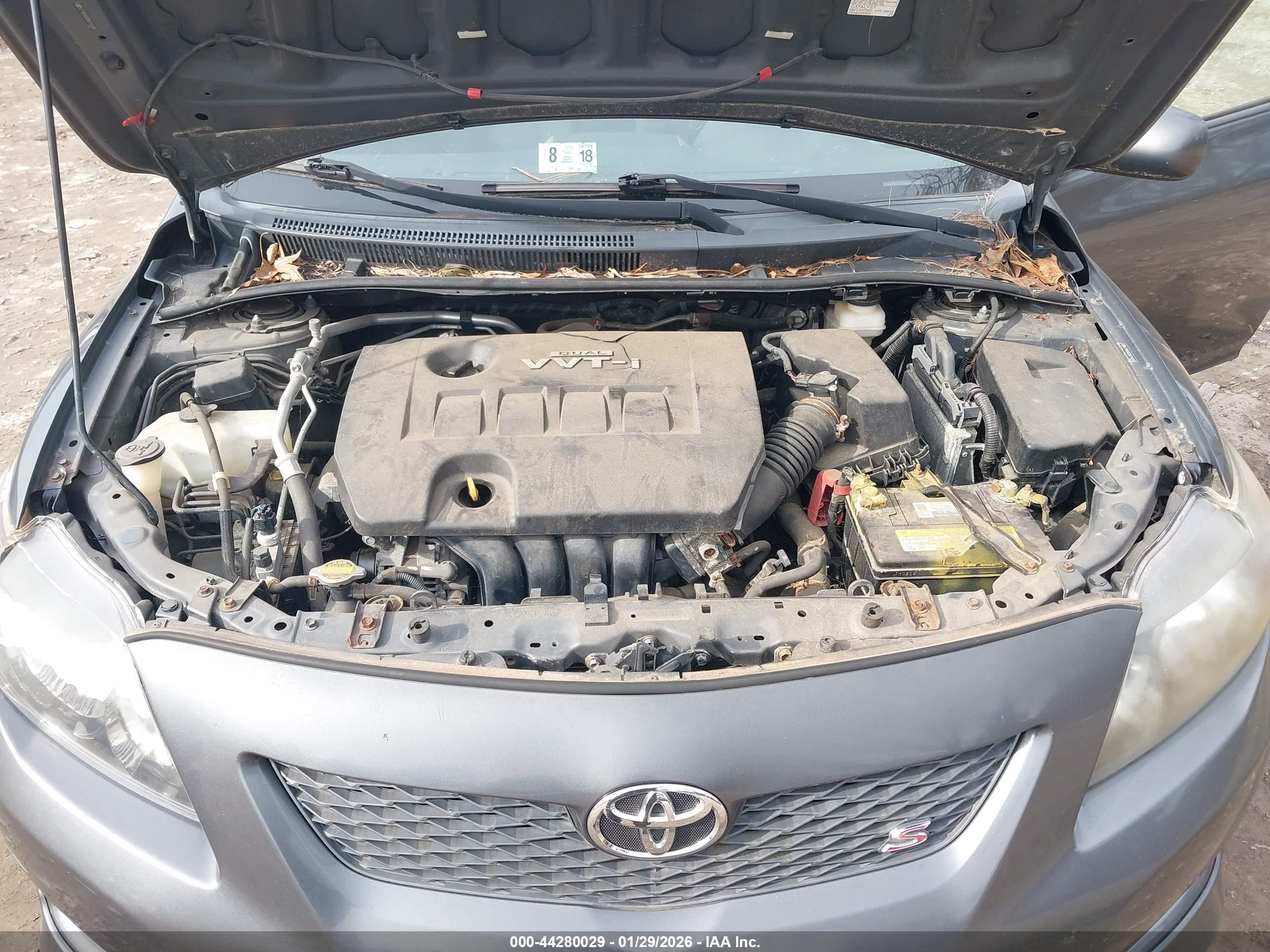 TOYOTA COROLLA image 10