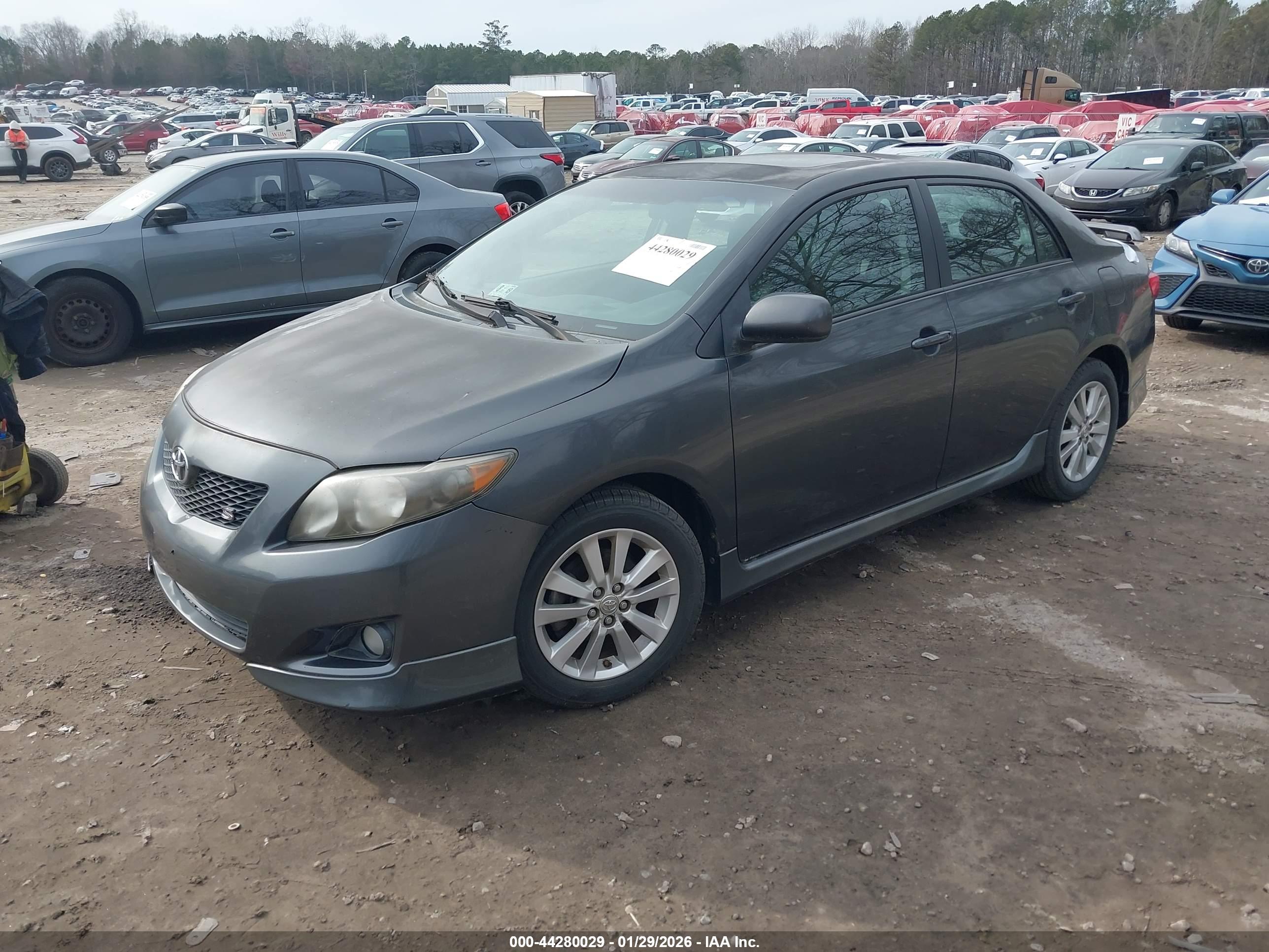 TOYOTA COROLLA image 2