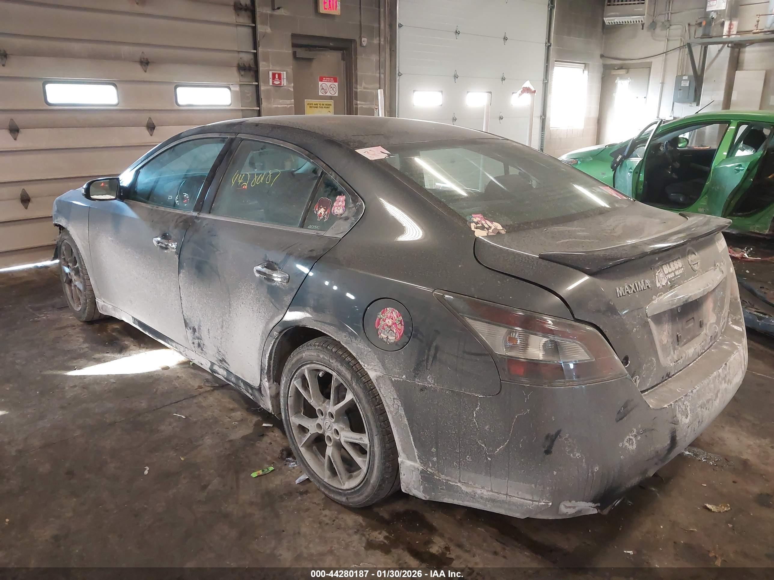 NISSAN MAXIMA image 3
