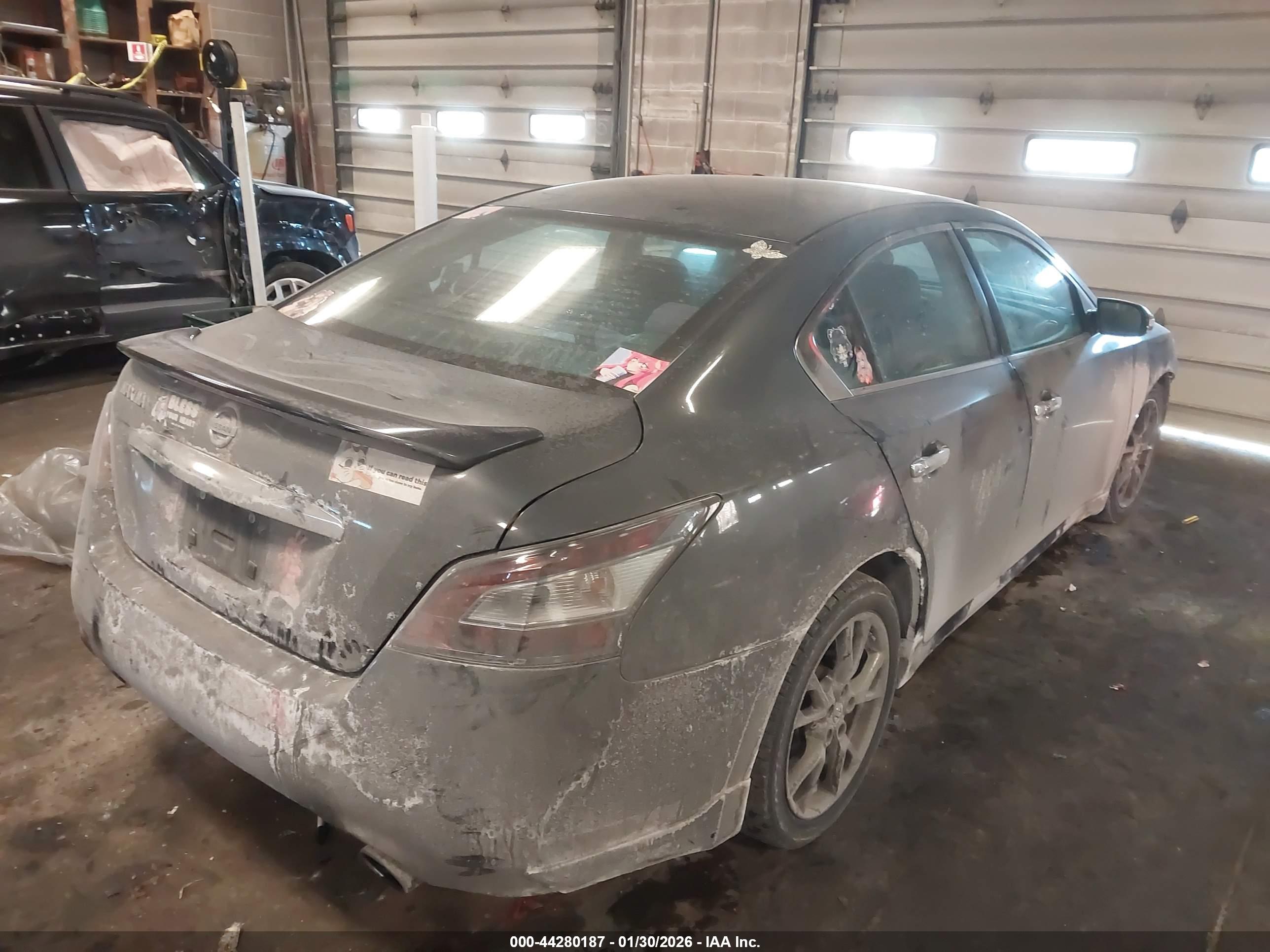 NISSAN MAXIMA image 4