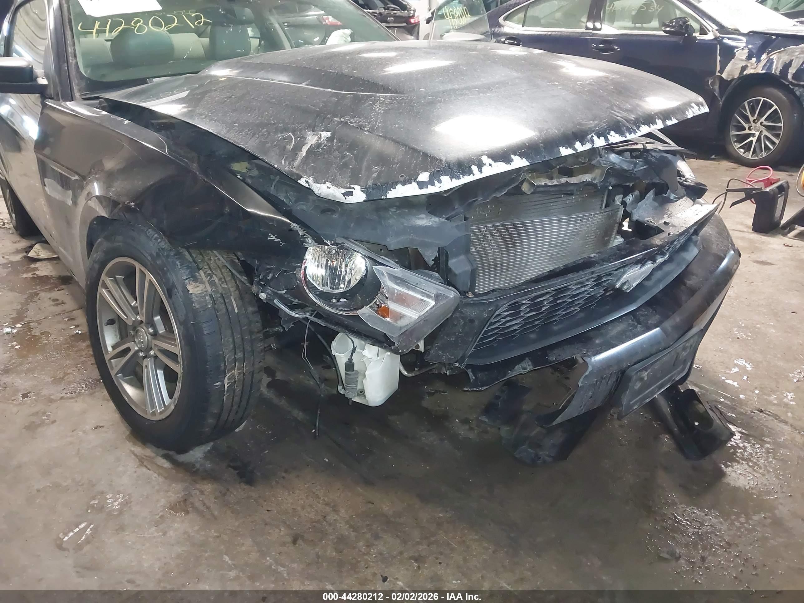 FORD MUSTANG image 6