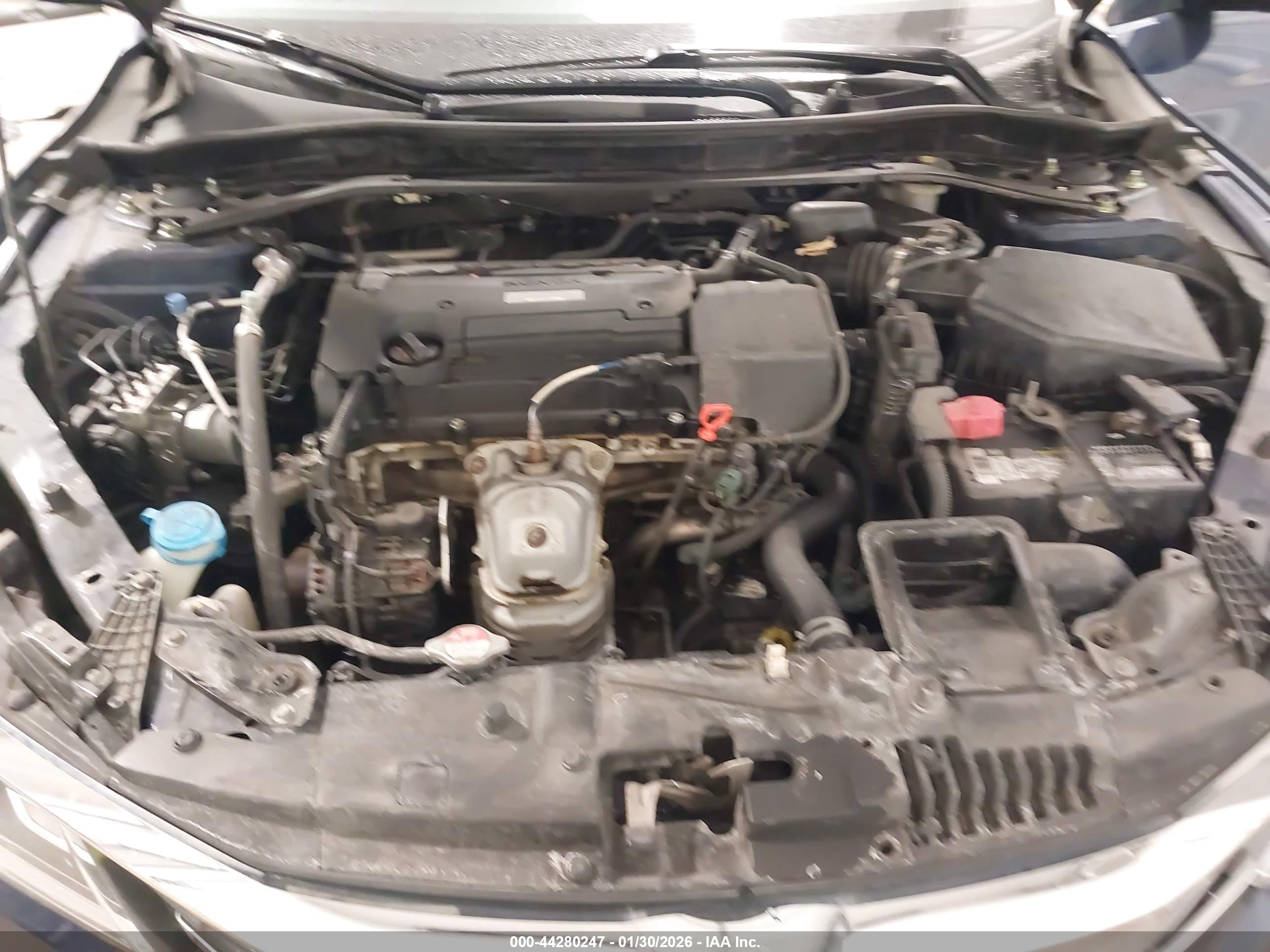 HONDA ACCORD image 10