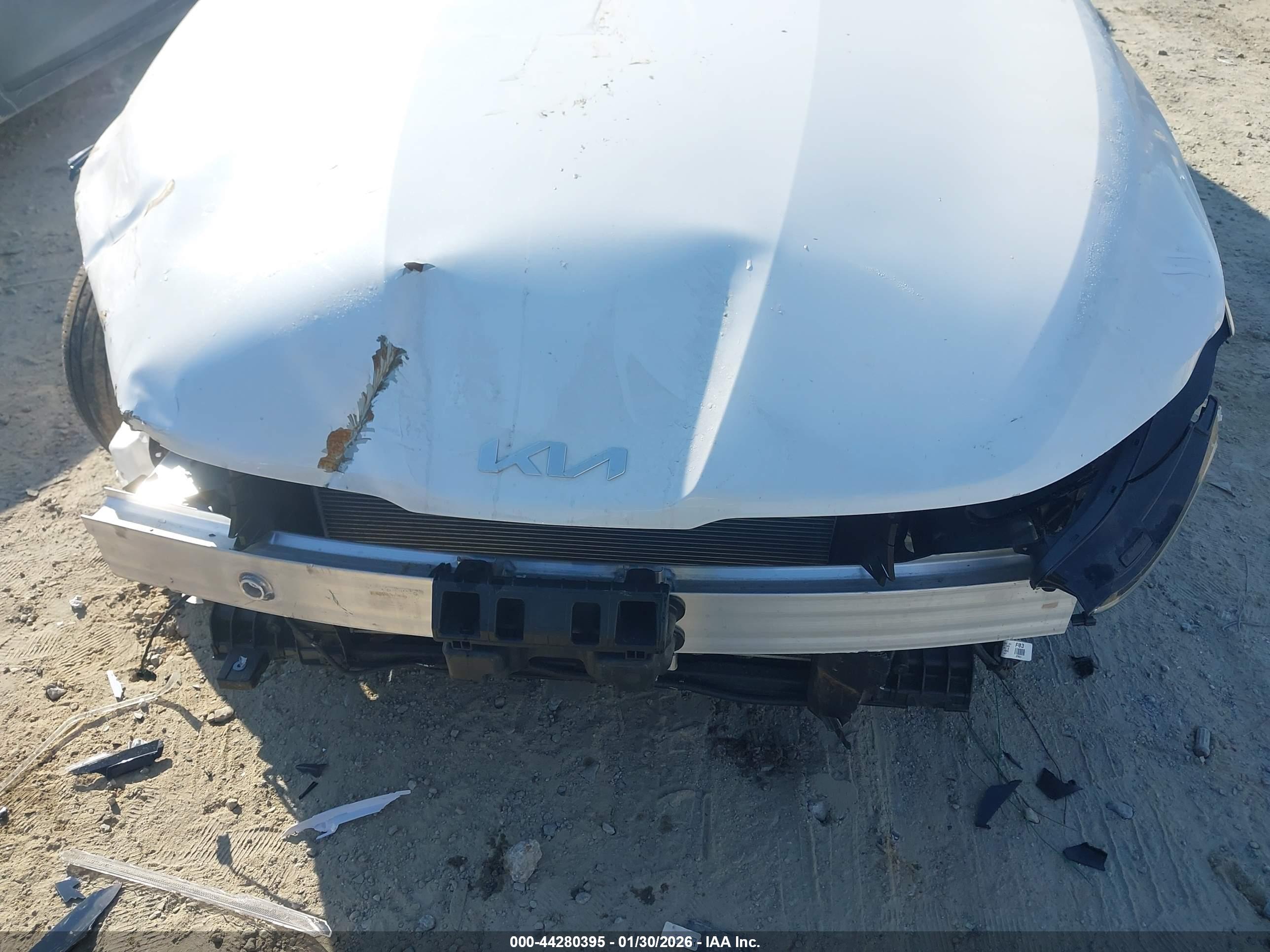 KIA K5 image 6