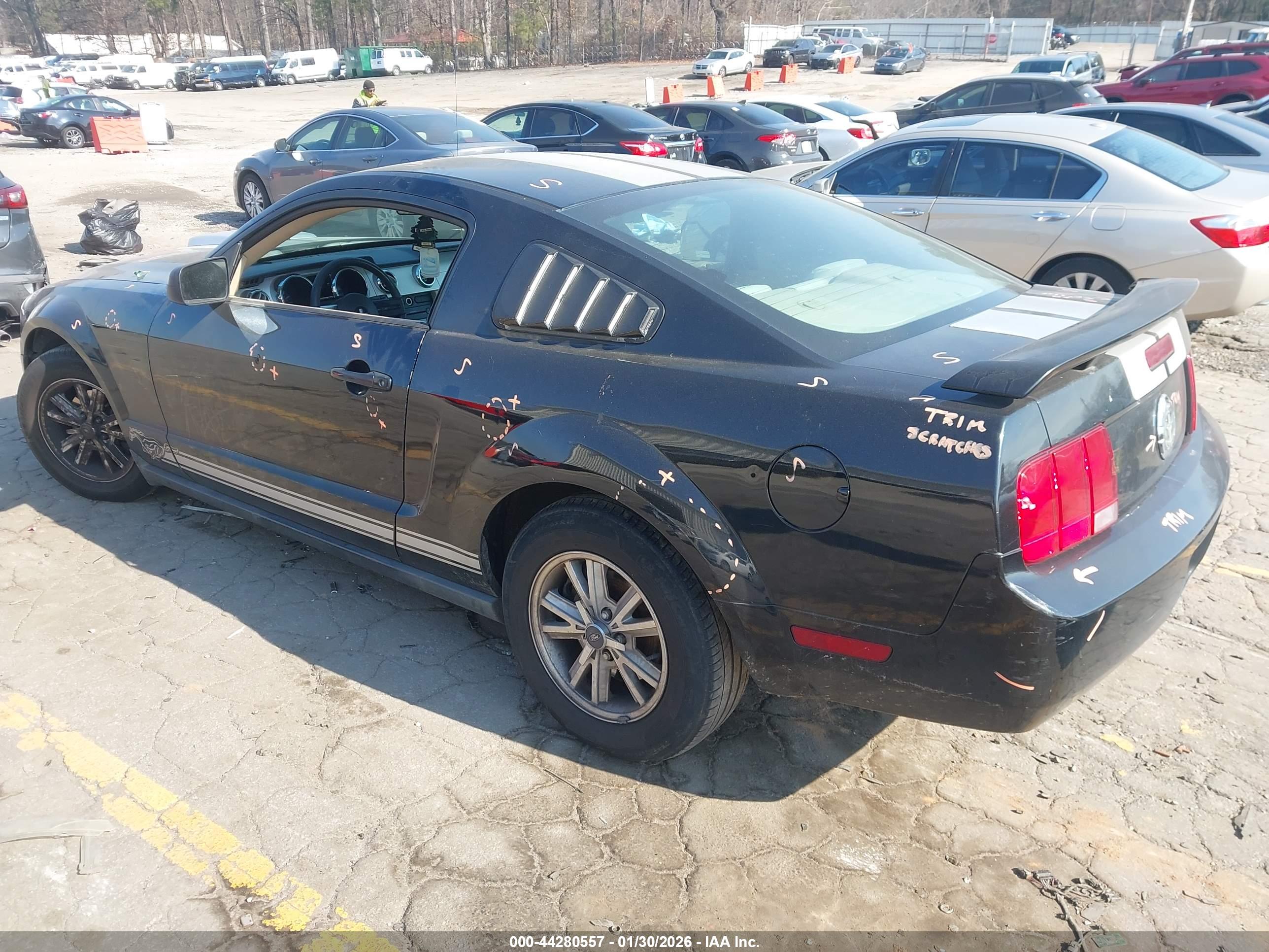 FORD MUSTANG image 3