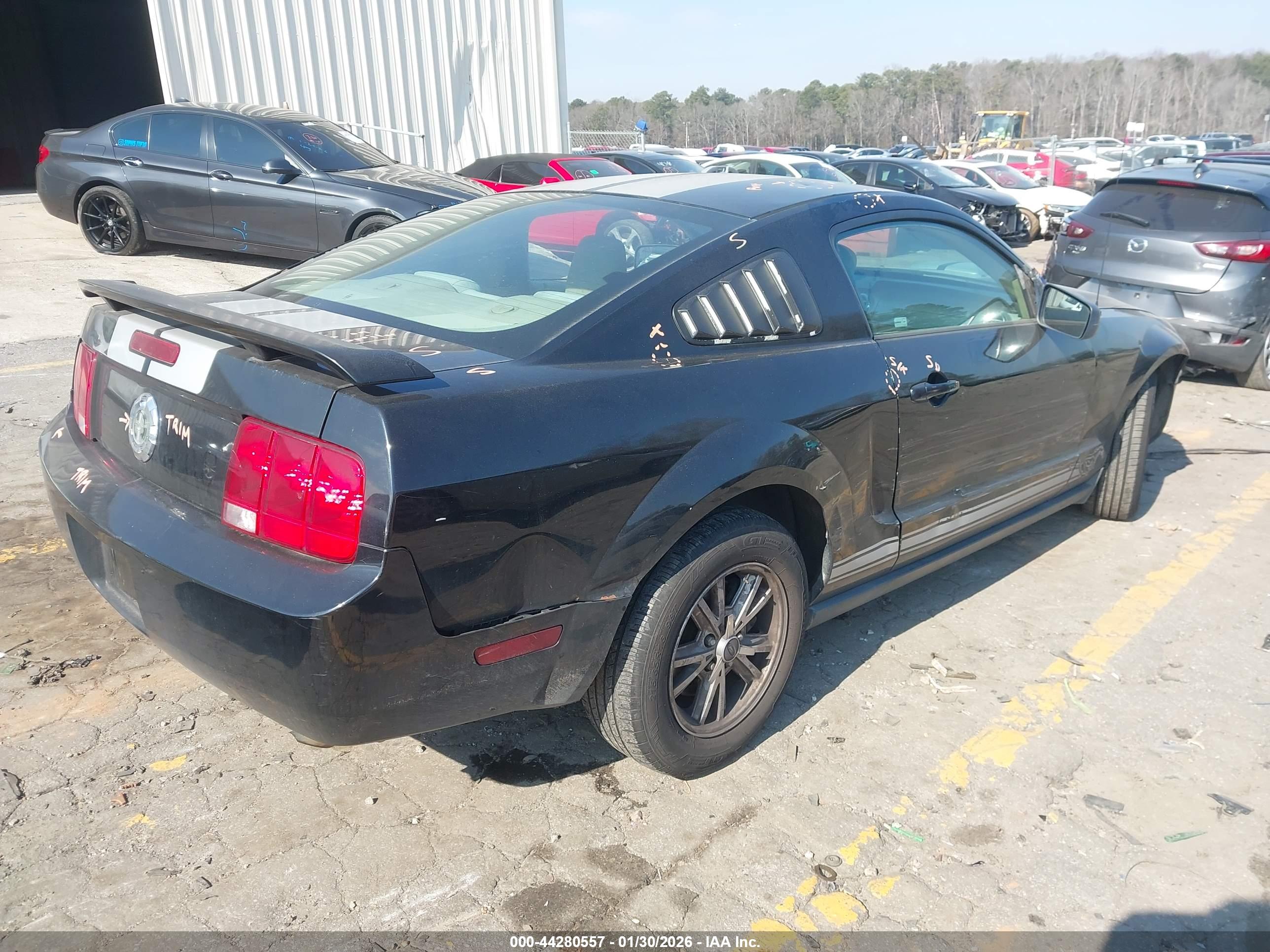 FORD MUSTANG image 4
