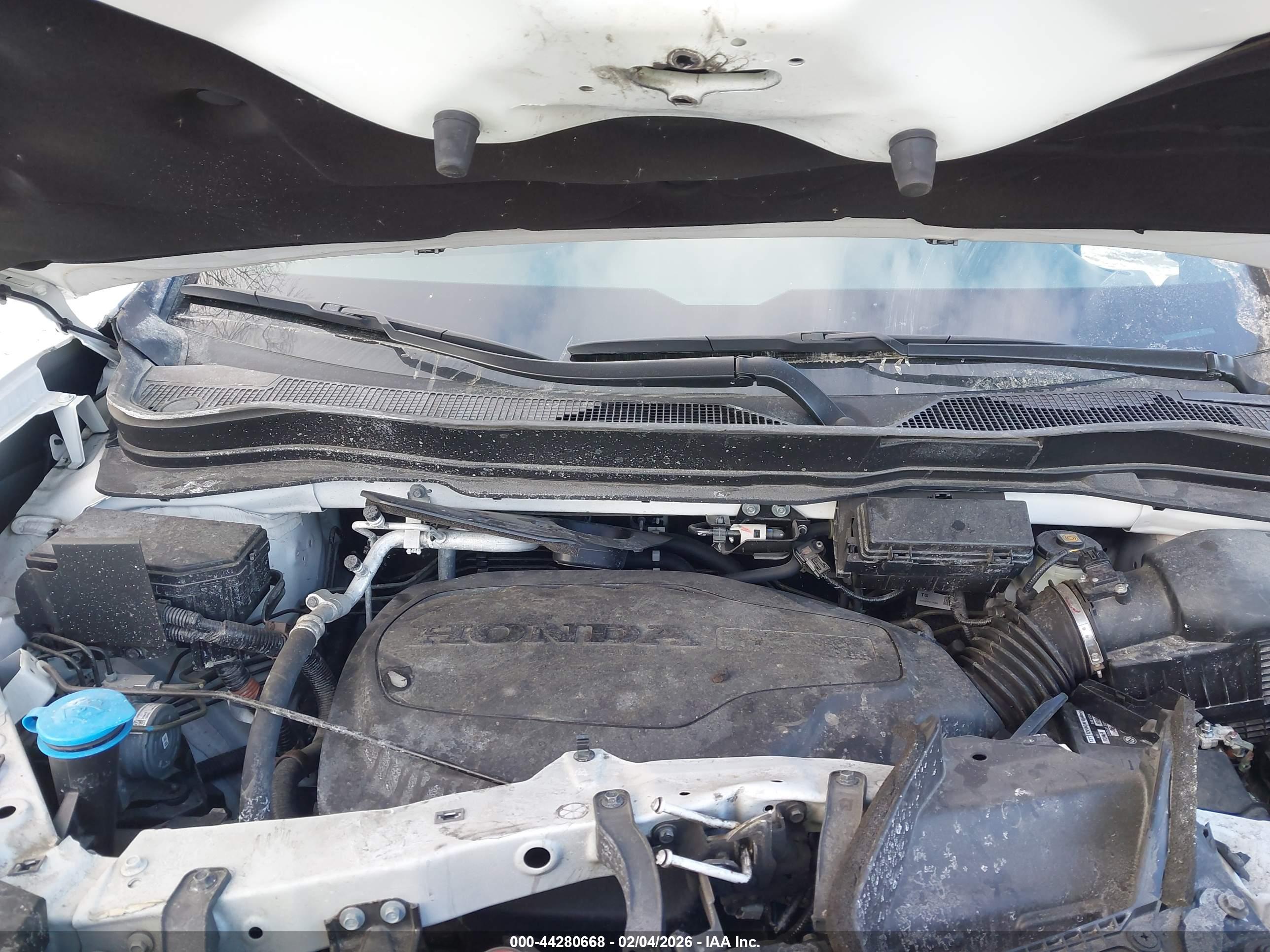HONDA PASSPORT image 10