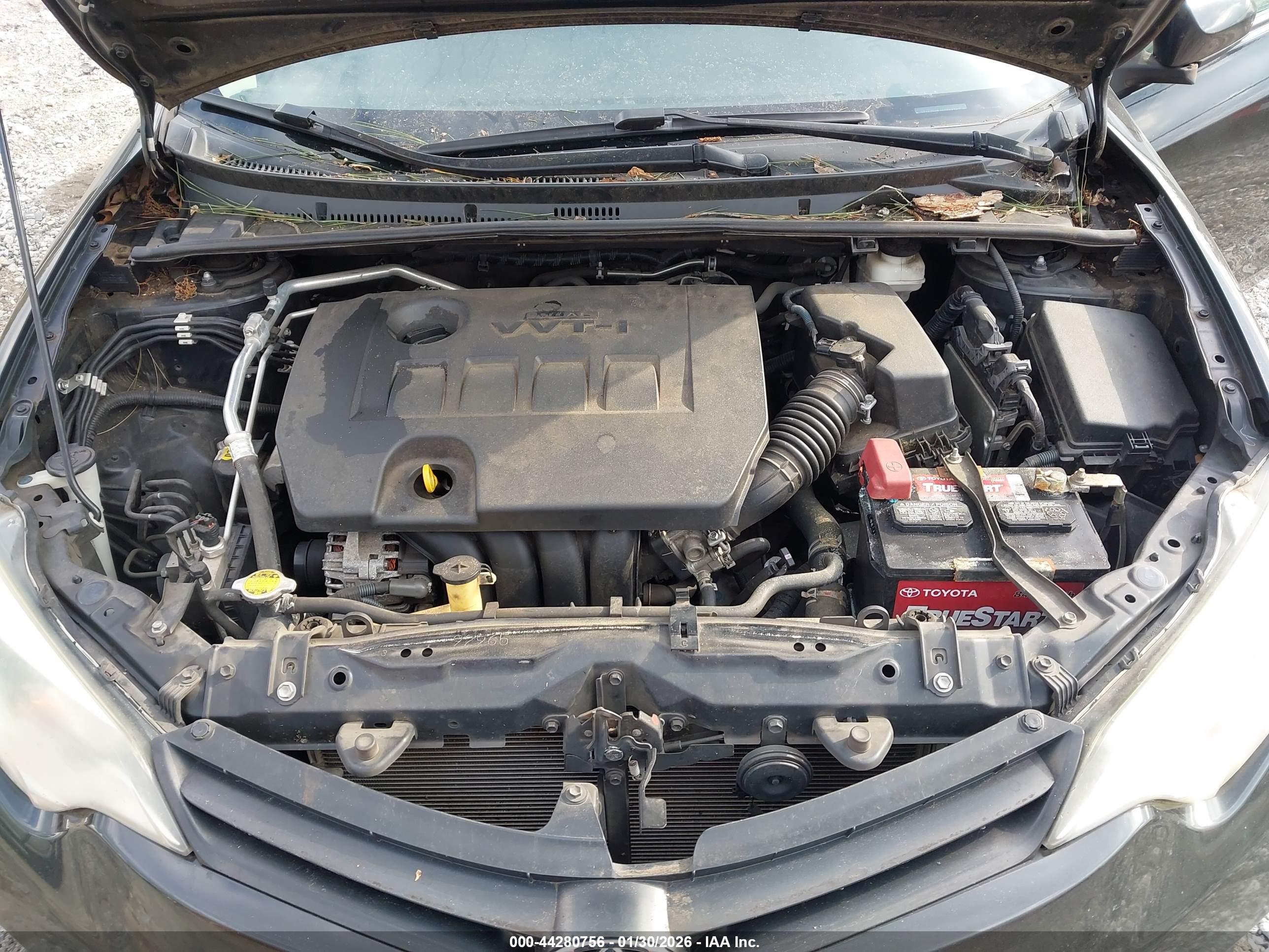 TOYOTA COROLLA image 10