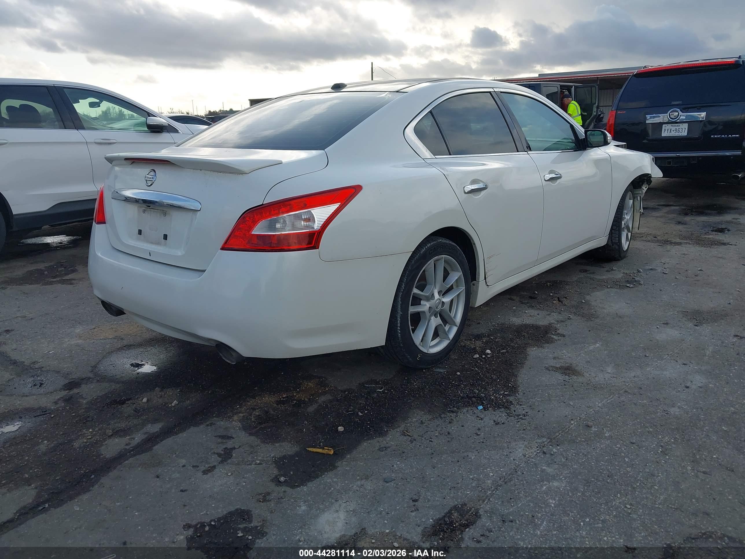 NISSAN MAXIMA image 4