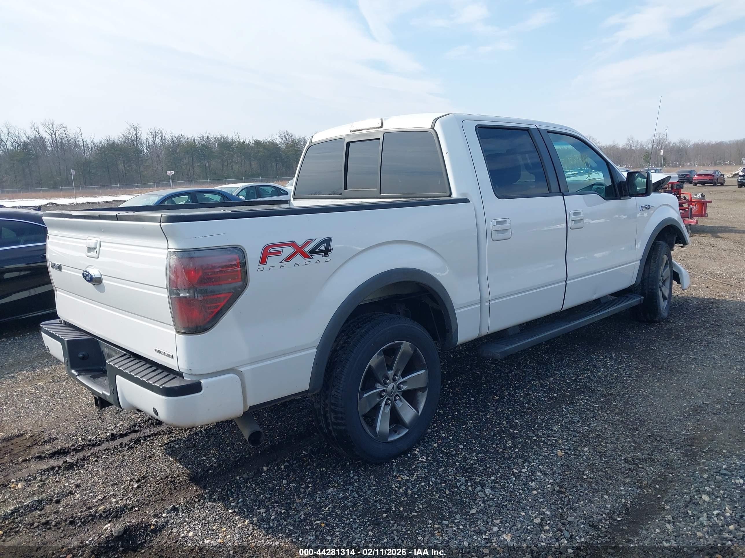 FORD F-150 image 4