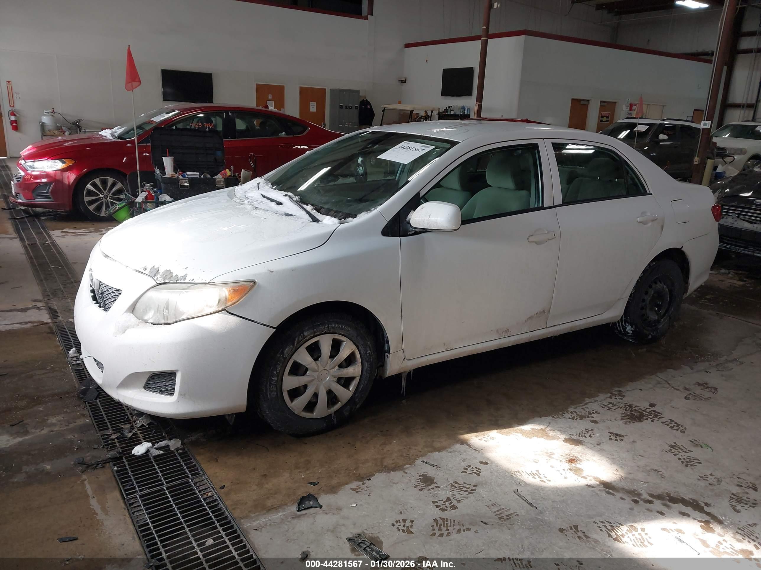 TOYOTA COROLLA image 2
