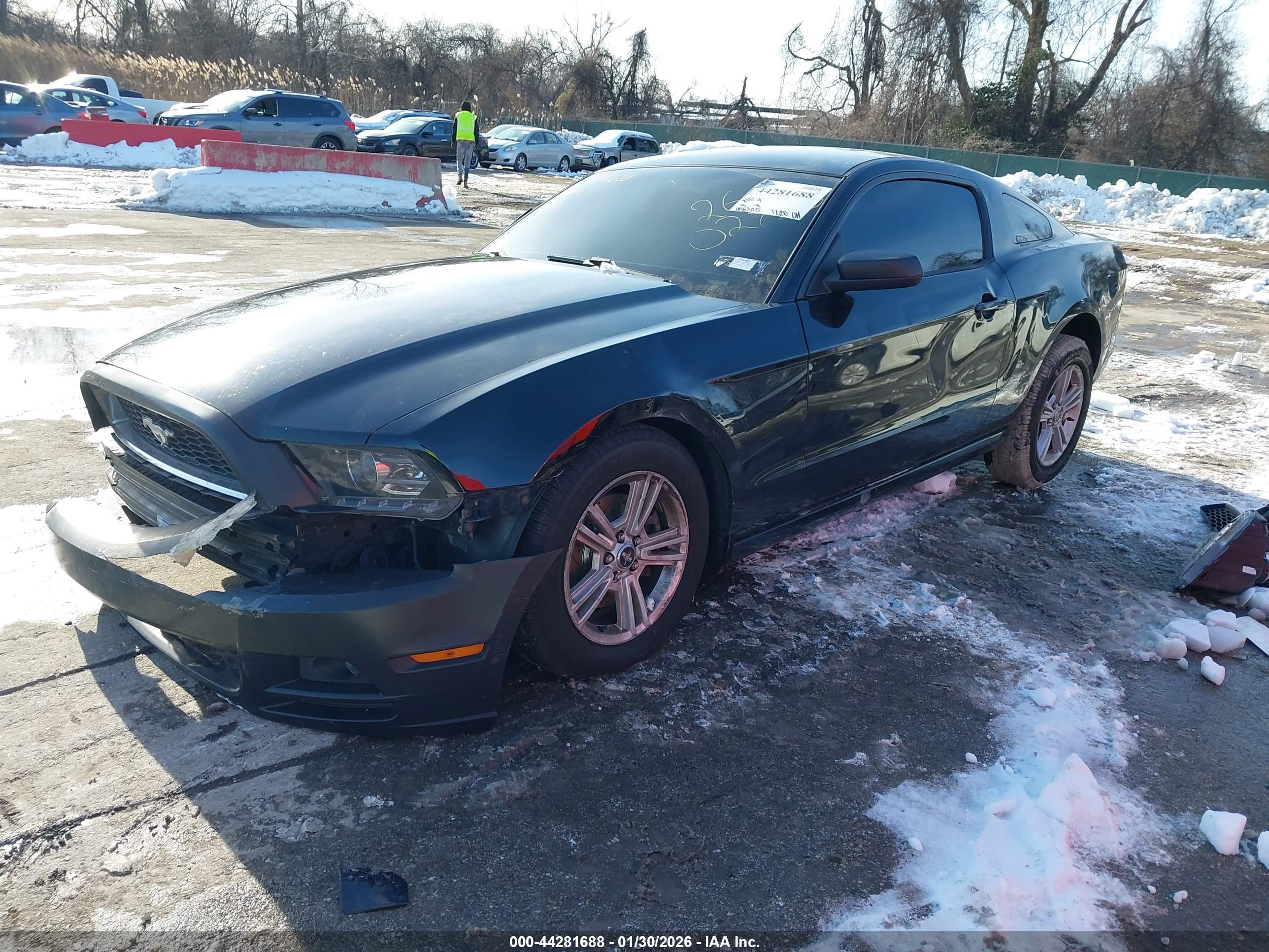 FORD MUSTANG image 2