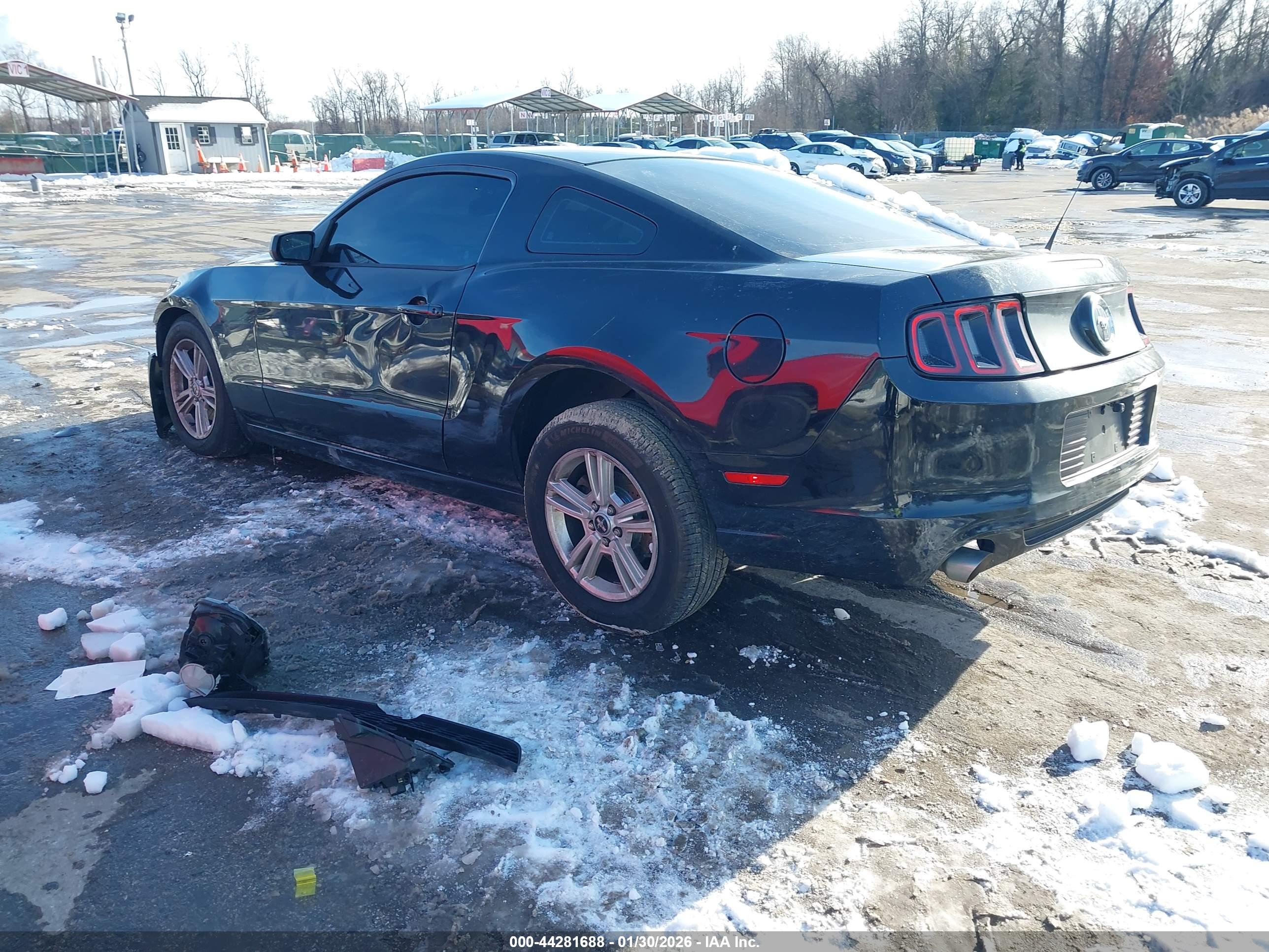FORD MUSTANG image 3
