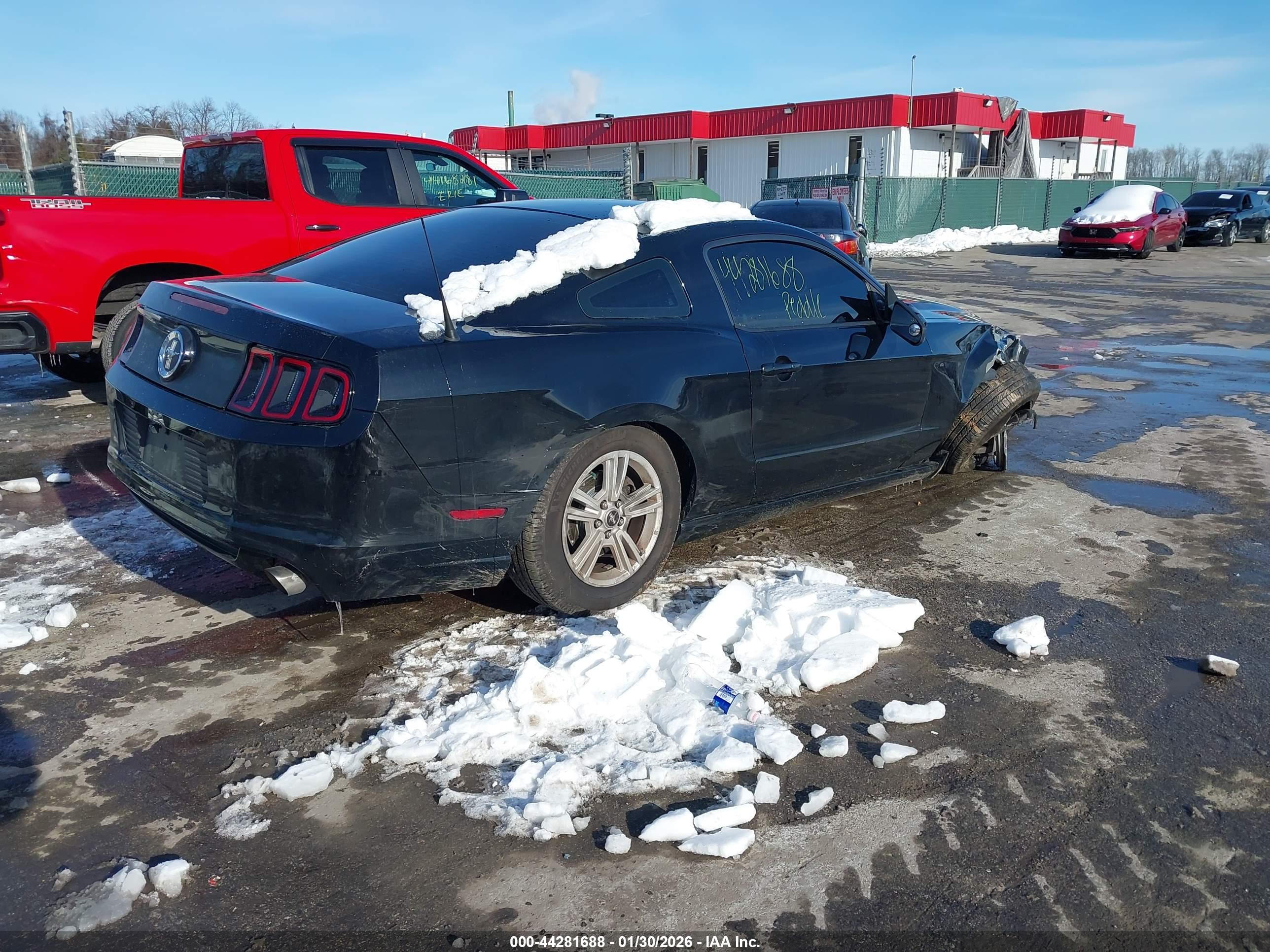 FORD MUSTANG image 4