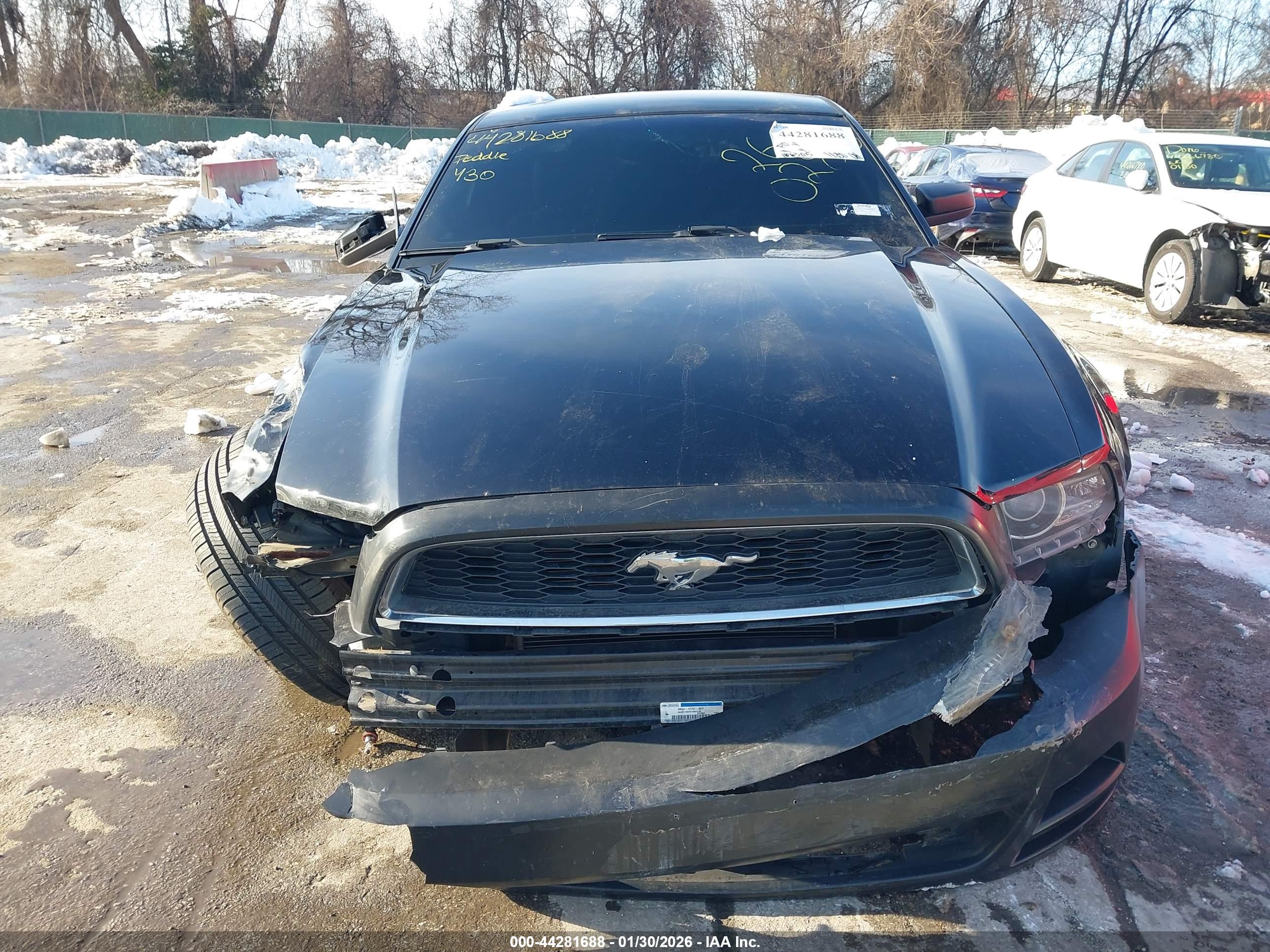 FORD MUSTANG image 6
