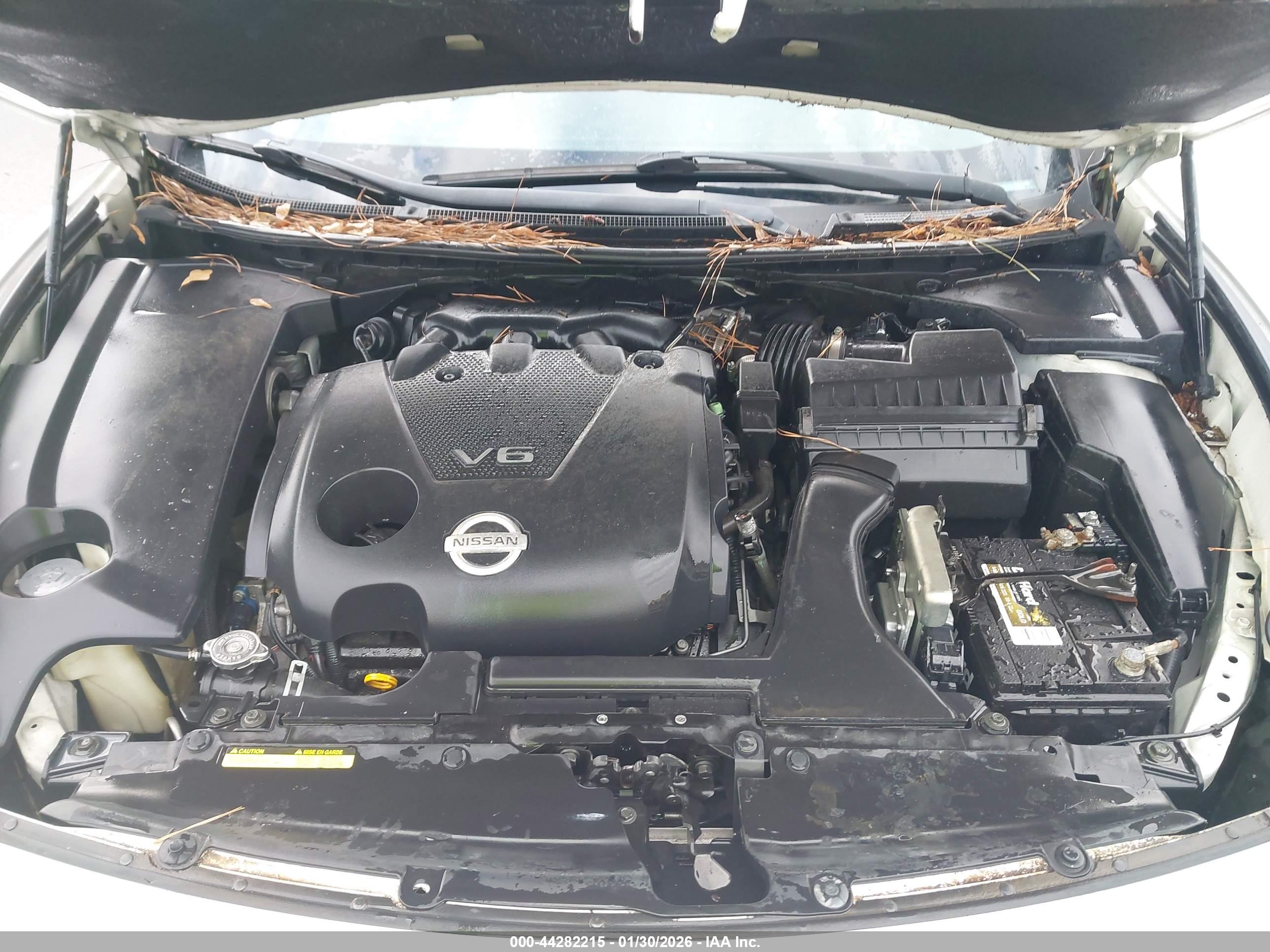 NISSAN MAXIMA image 10