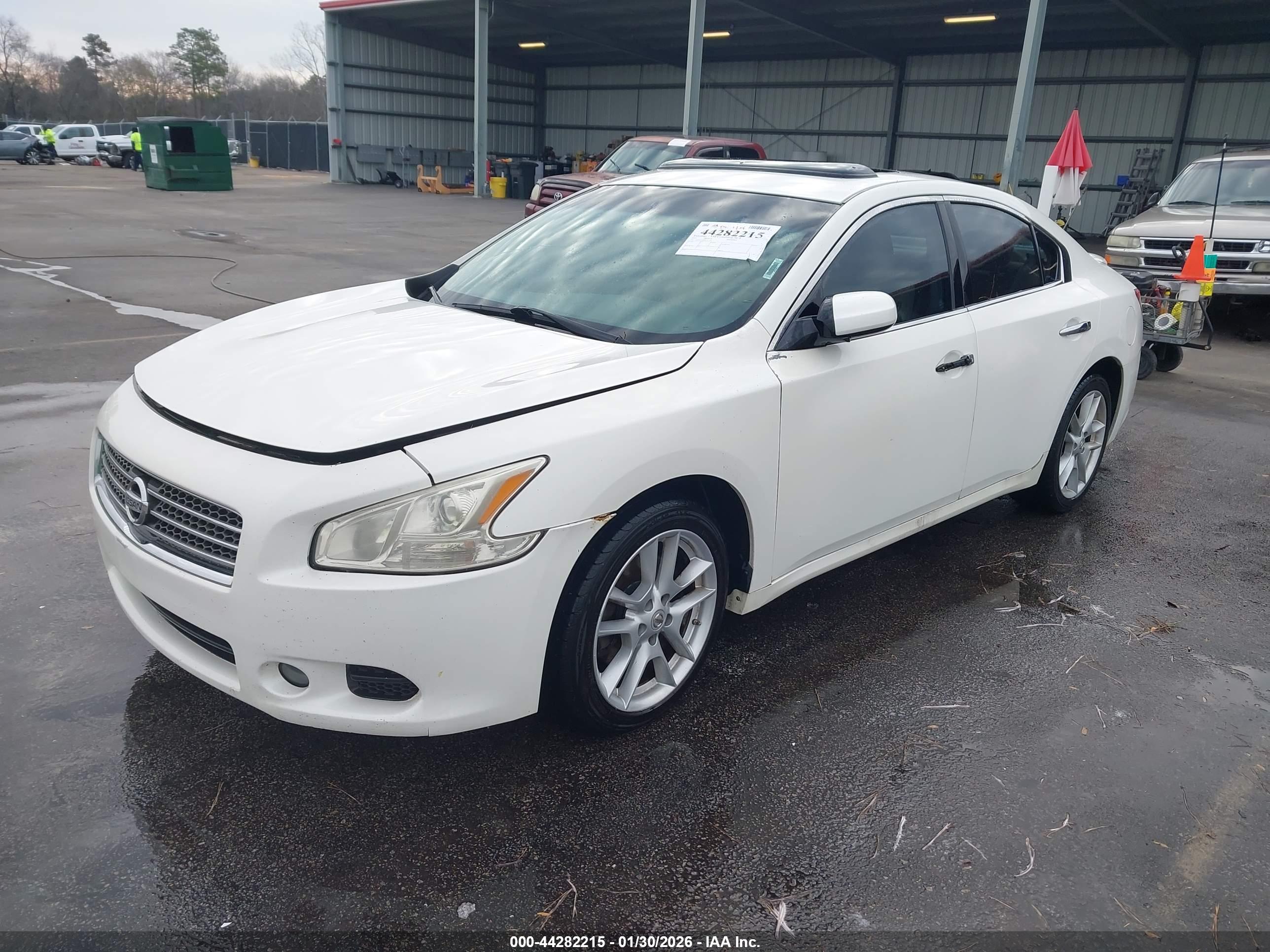 NISSAN MAXIMA image 2