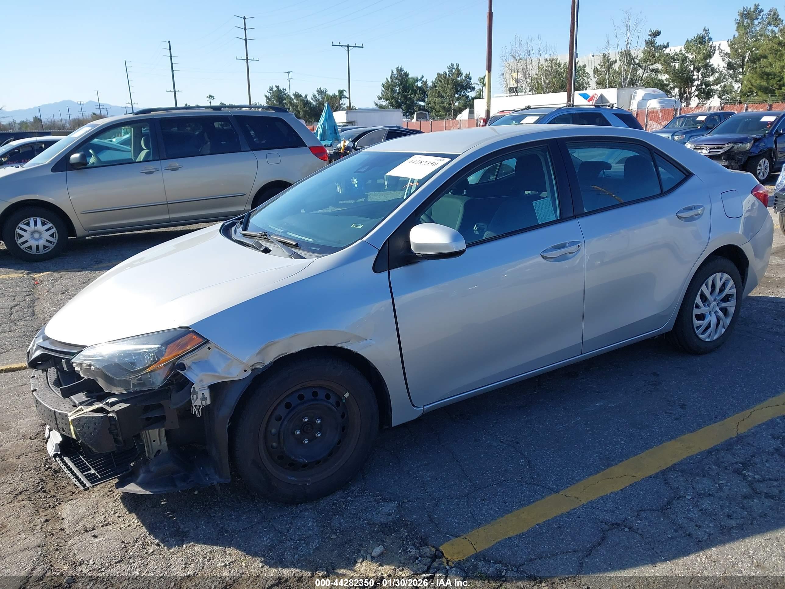 TOYOTA COROLLA image 2