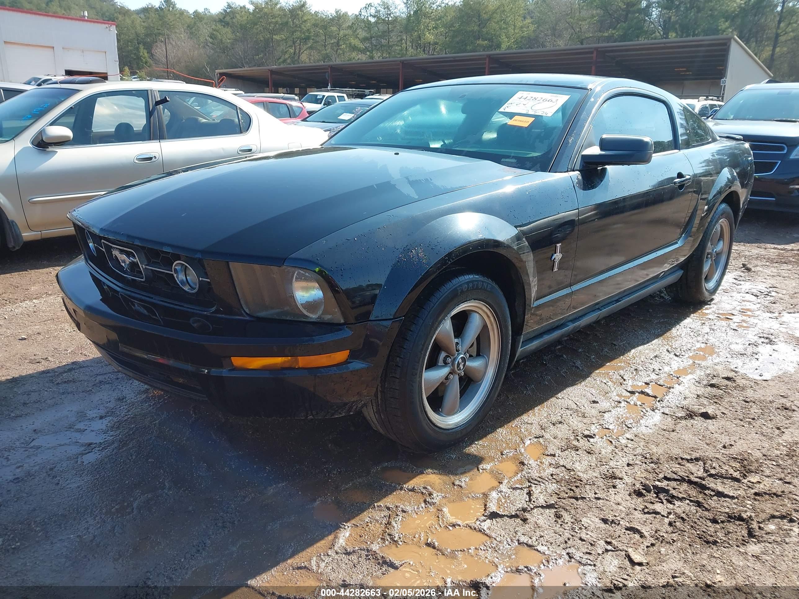 FORD MUSTANG image 2