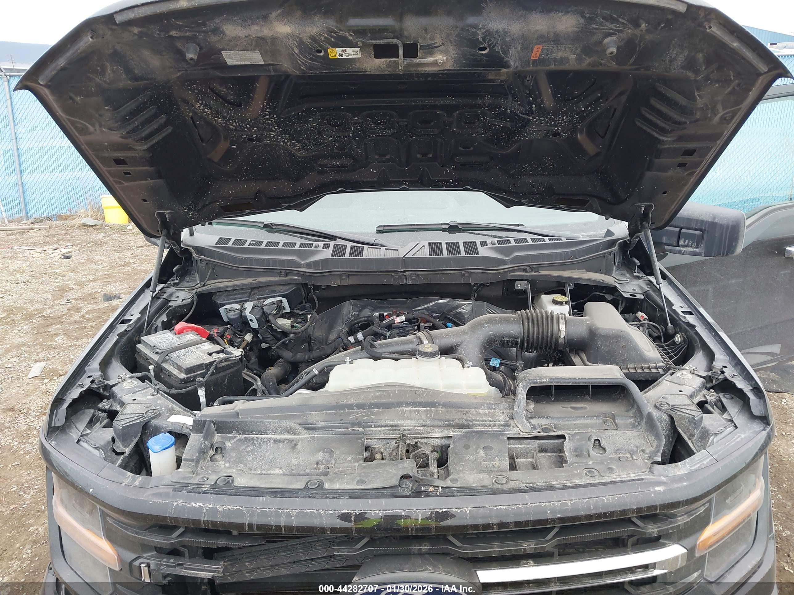FORD F-150 image 10