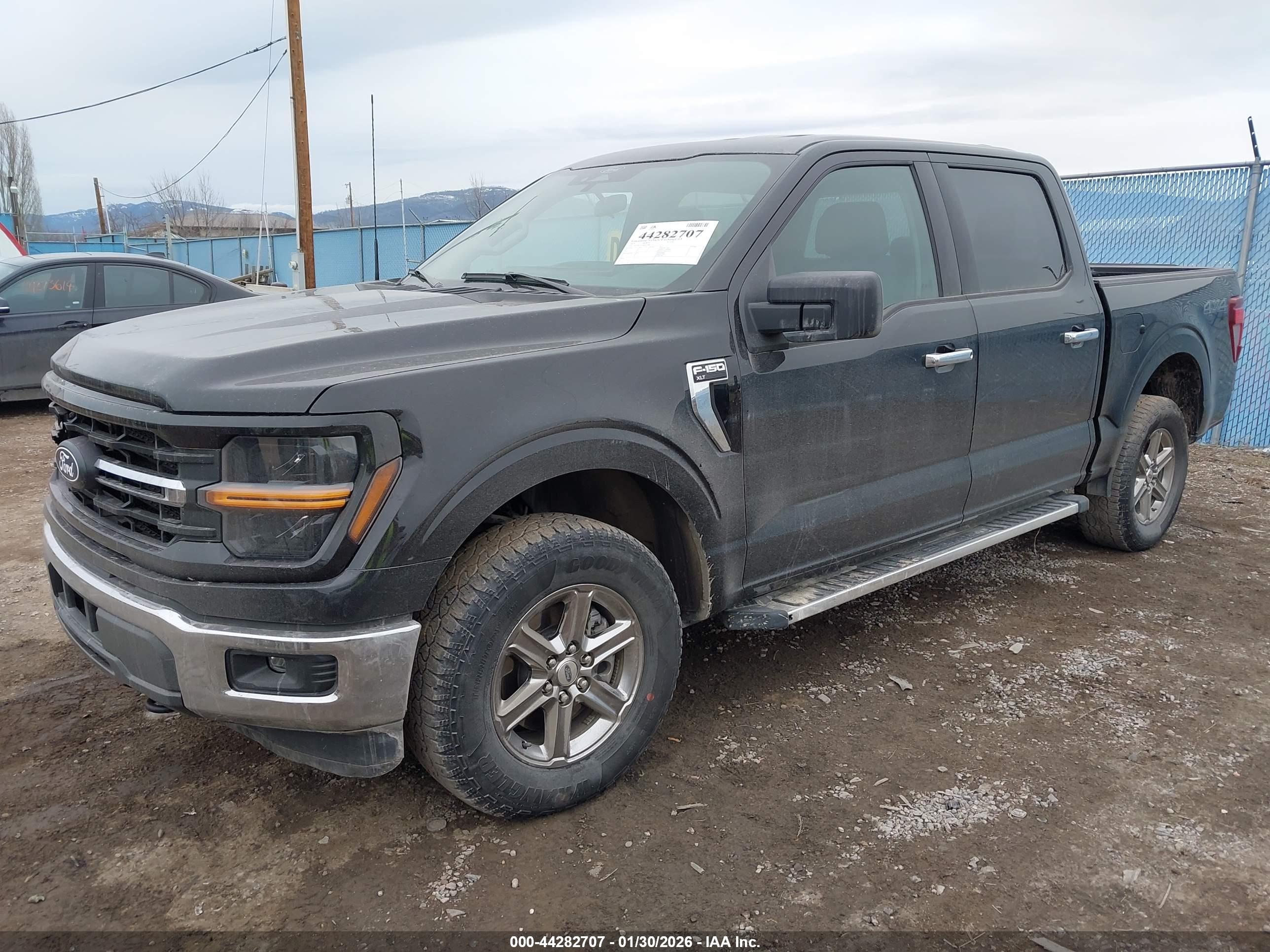 FORD F-150 image 2