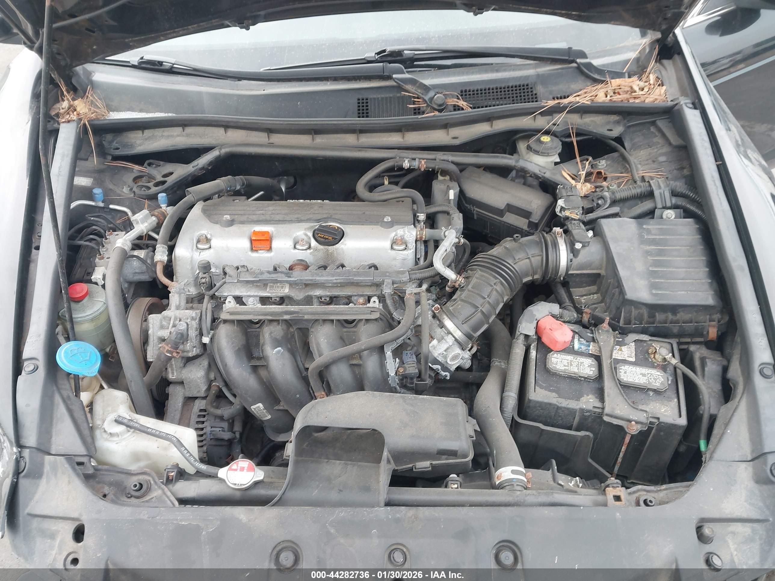 HONDA ACCORD image 10