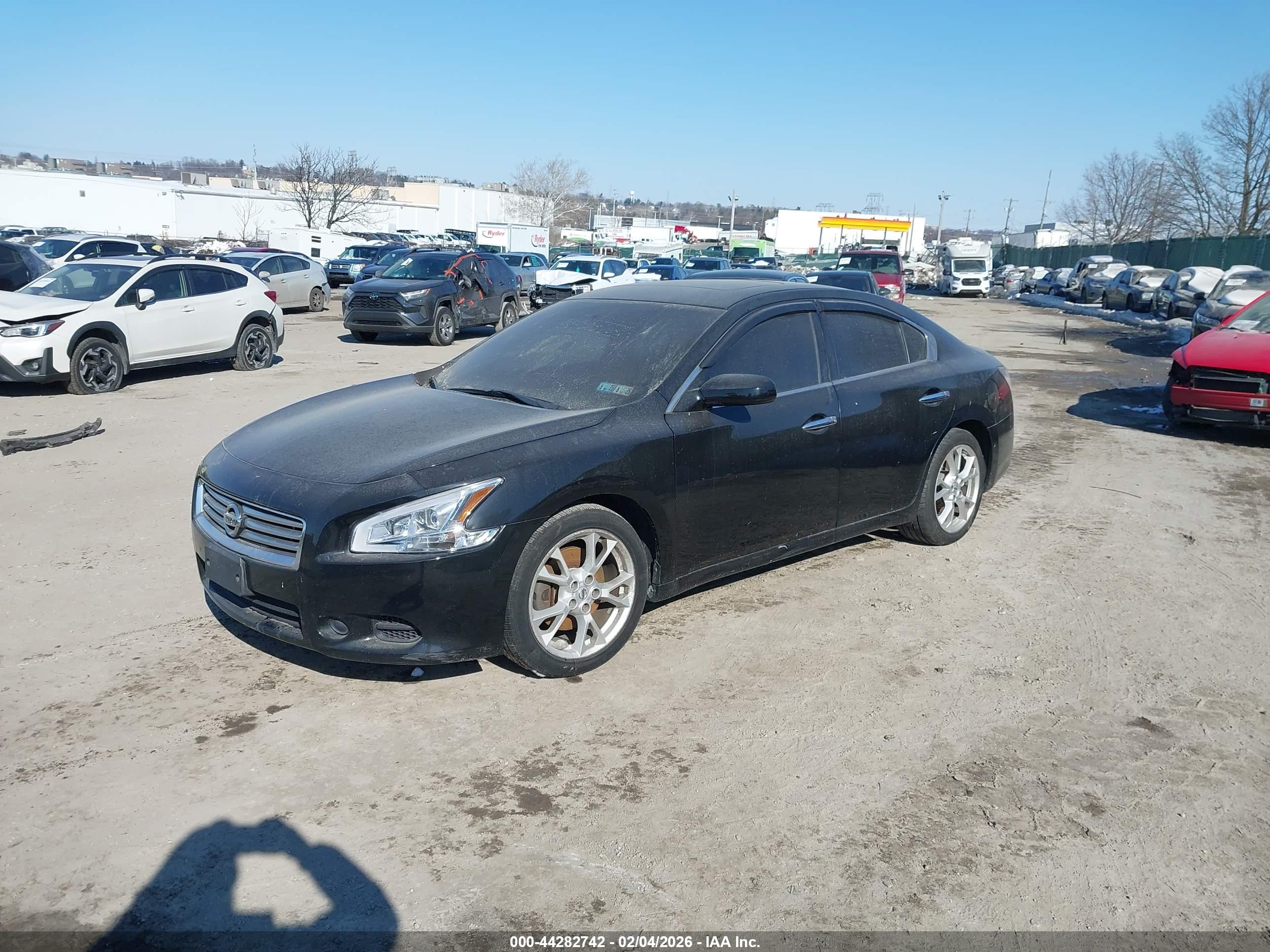 NISSAN MAXIMA image 2