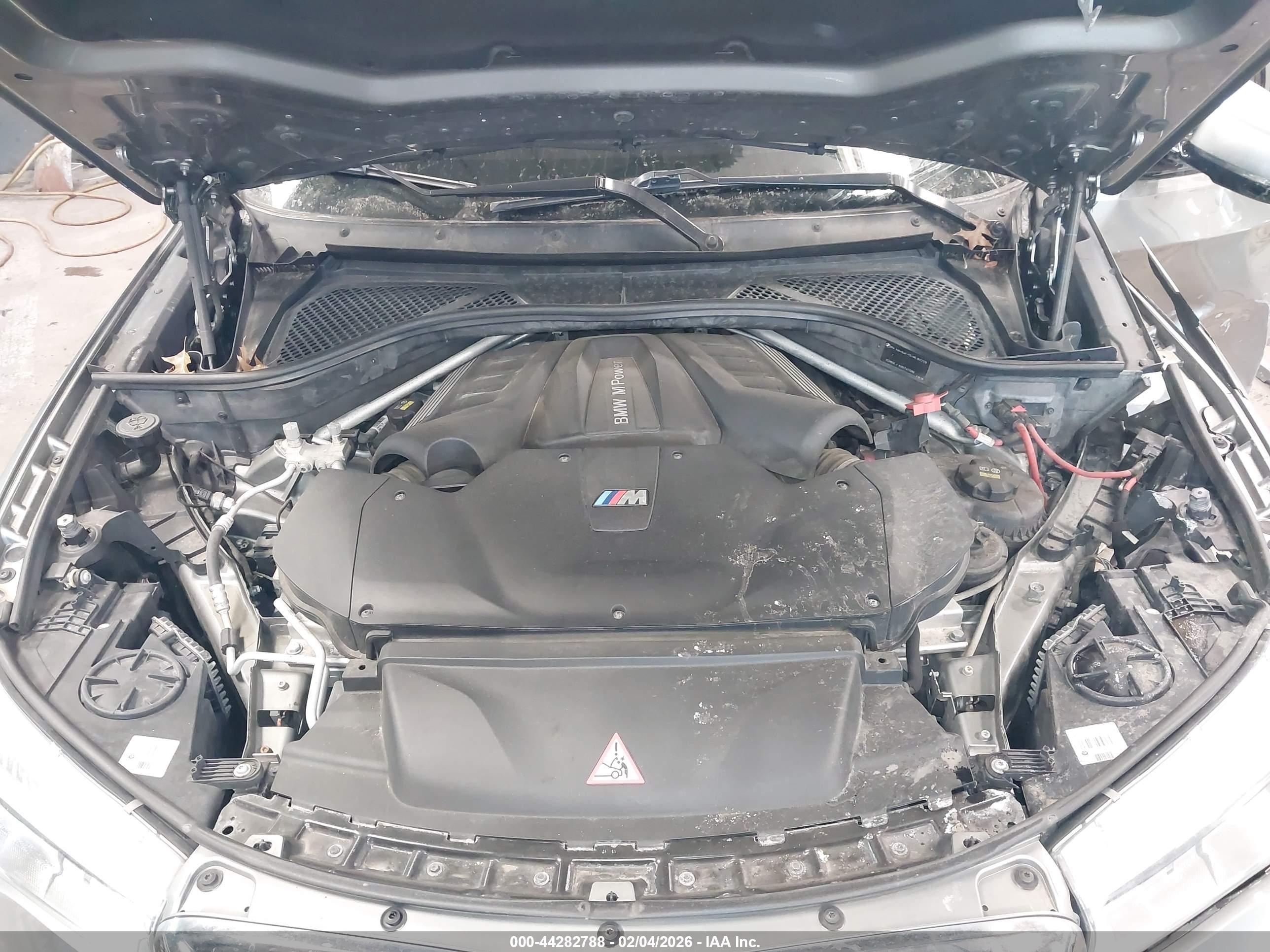 BMW X6 image 10