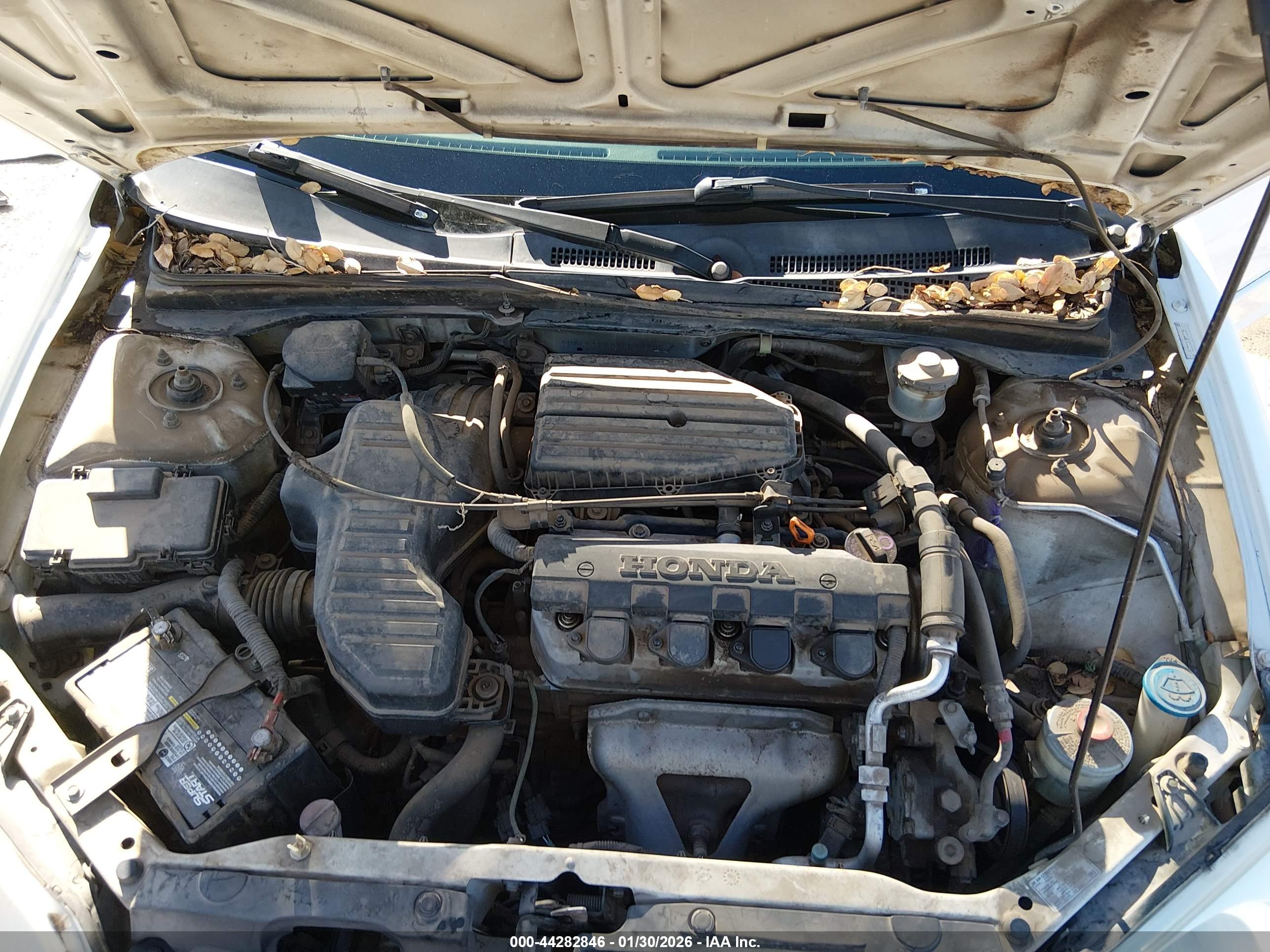 HONDA CIVIC image 10