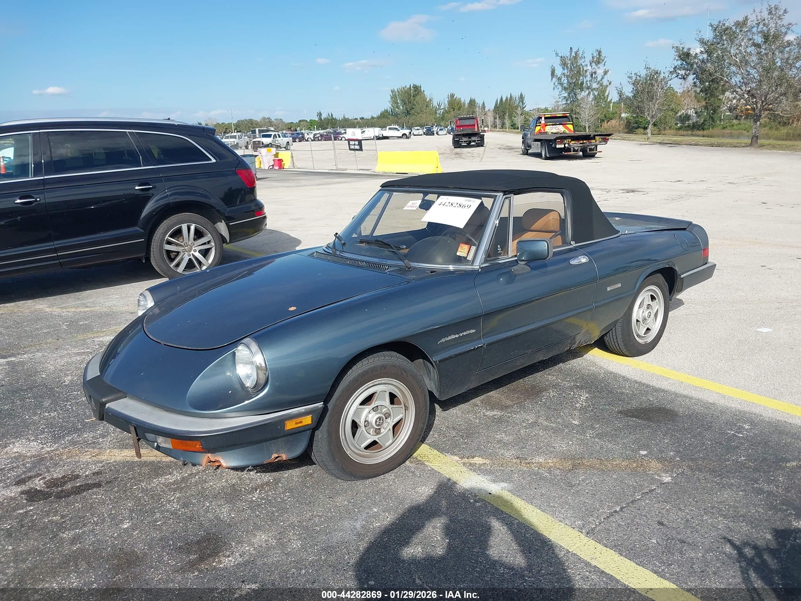 ALFA ROMEO image 2