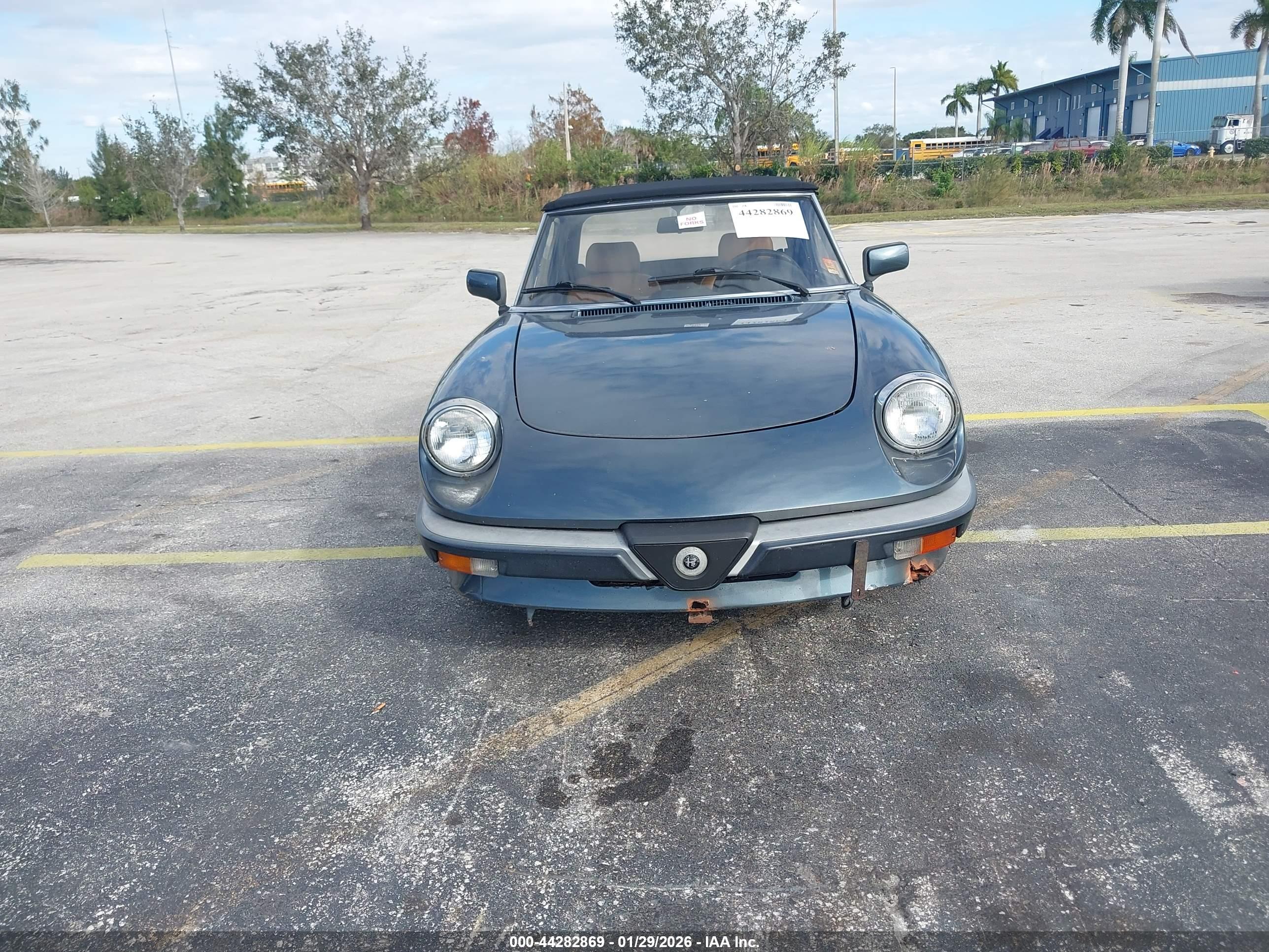 ALFA ROMEO image 6