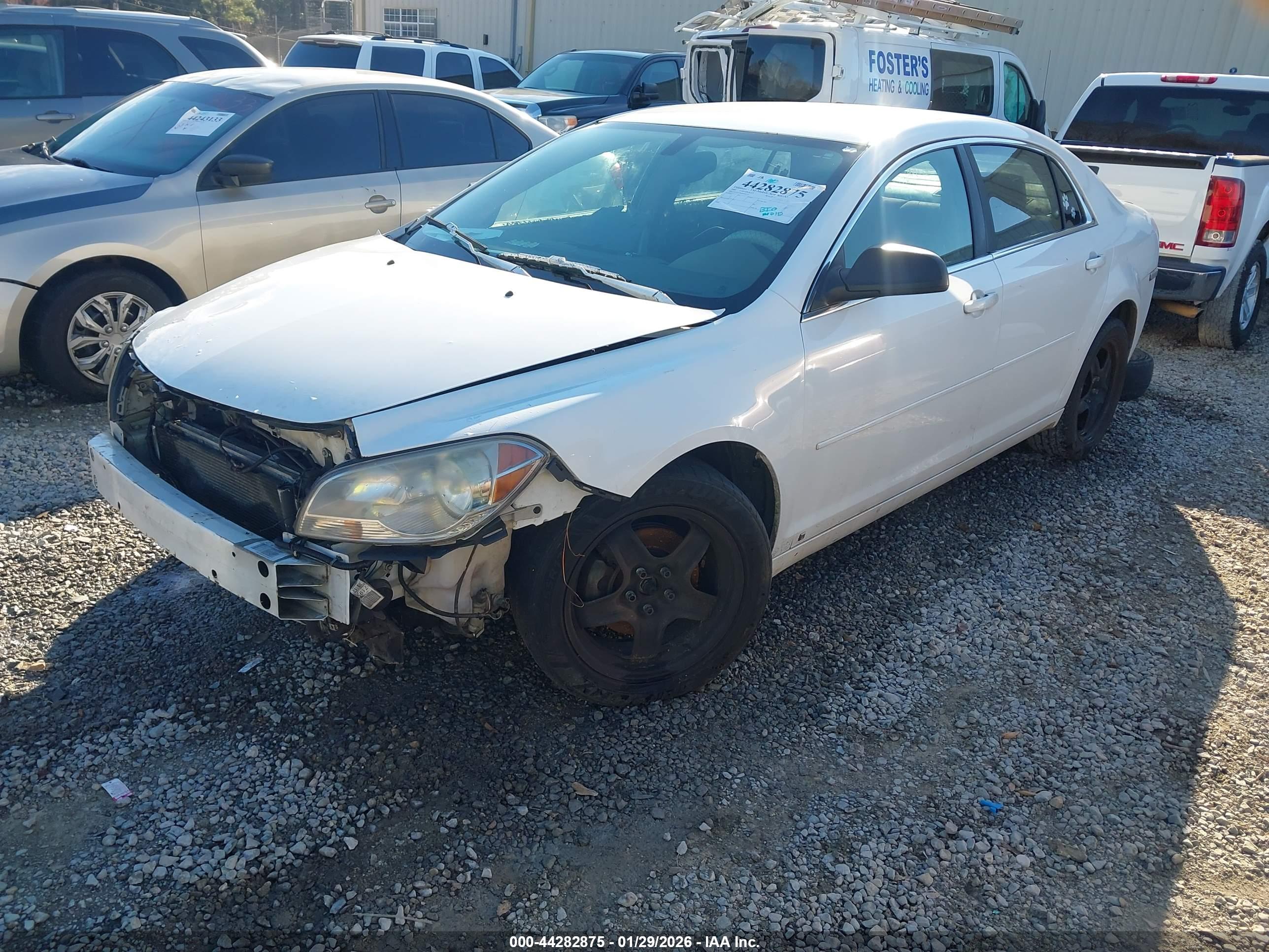 CHEVROLET MALIBU image 2