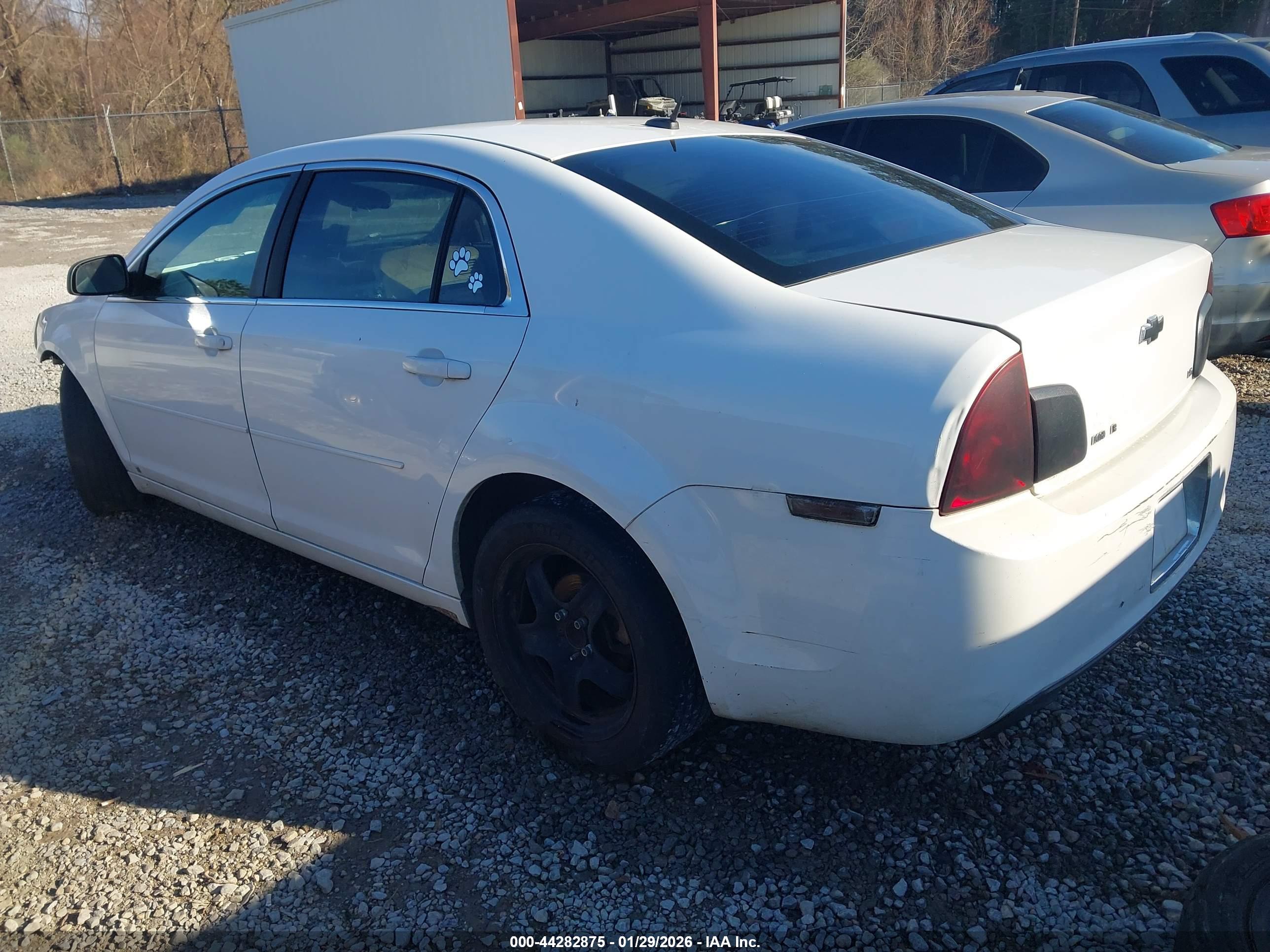CHEVROLET MALIBU image 3